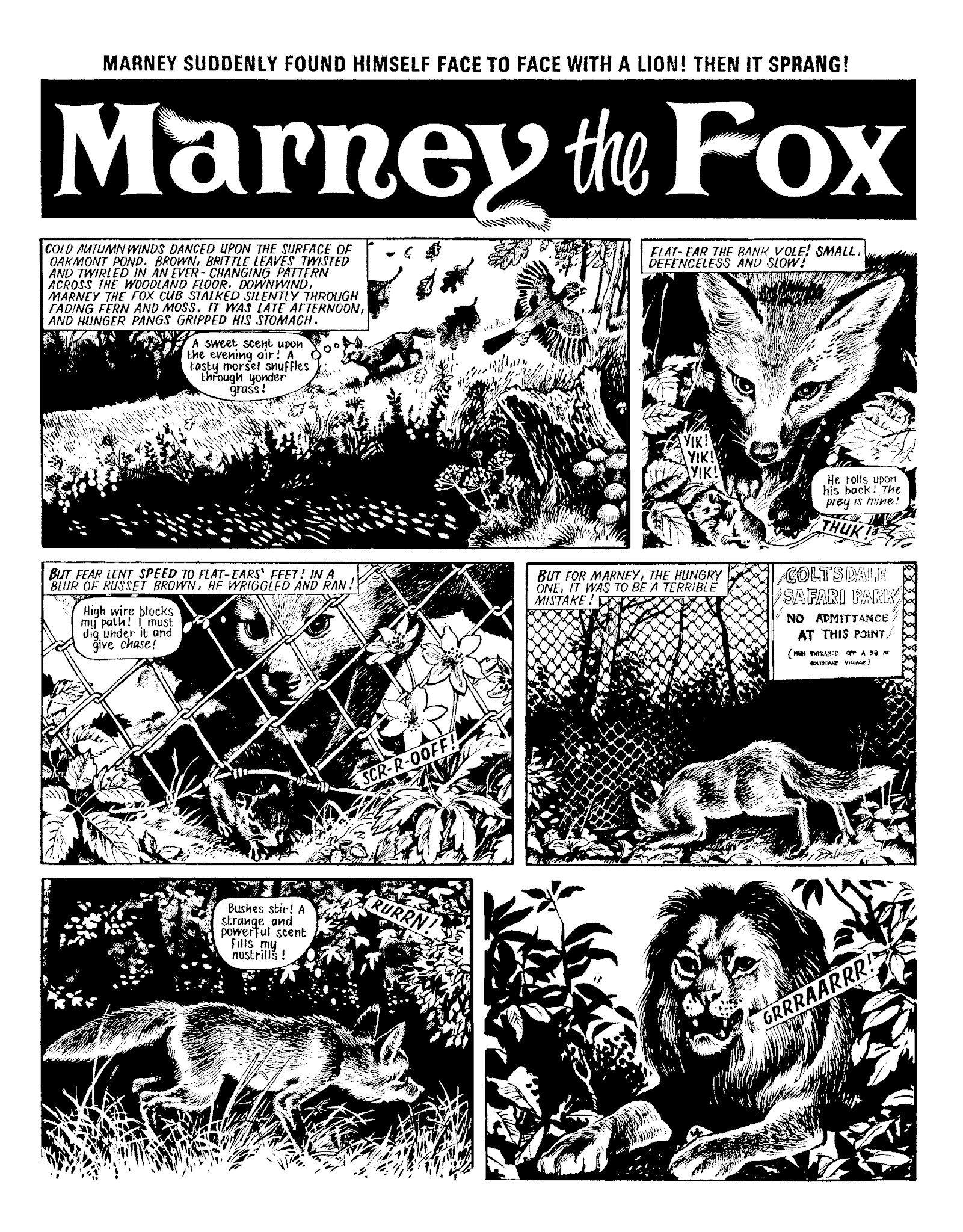 Read online Marney the Fox comic -  Issue # TPB (Part 1) - 29