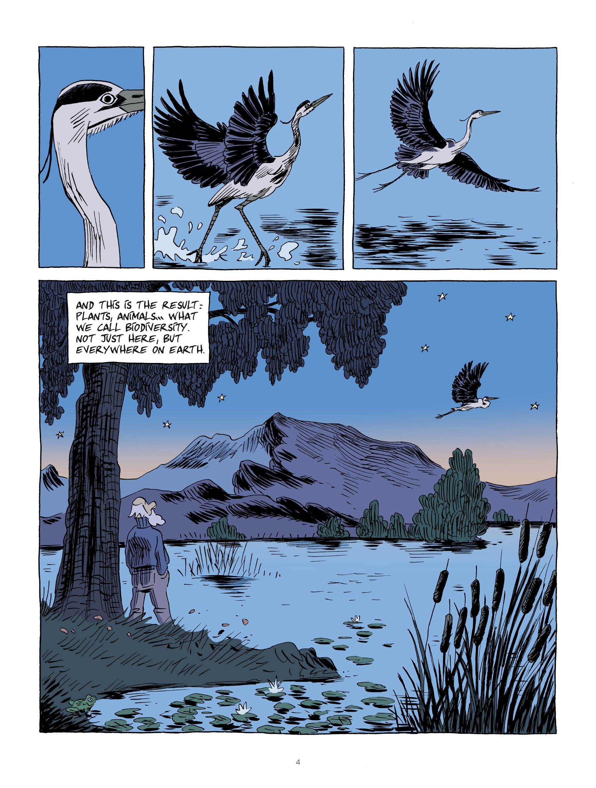 Read online Hubert Reeves Explains comic -  Issue #1 - 4