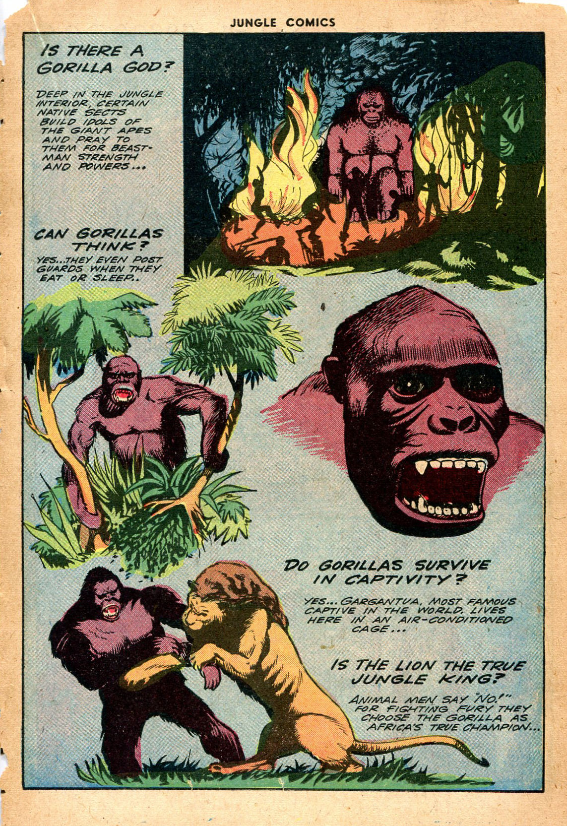 Read online Jungle Comics comic -  Issue #55 - 28