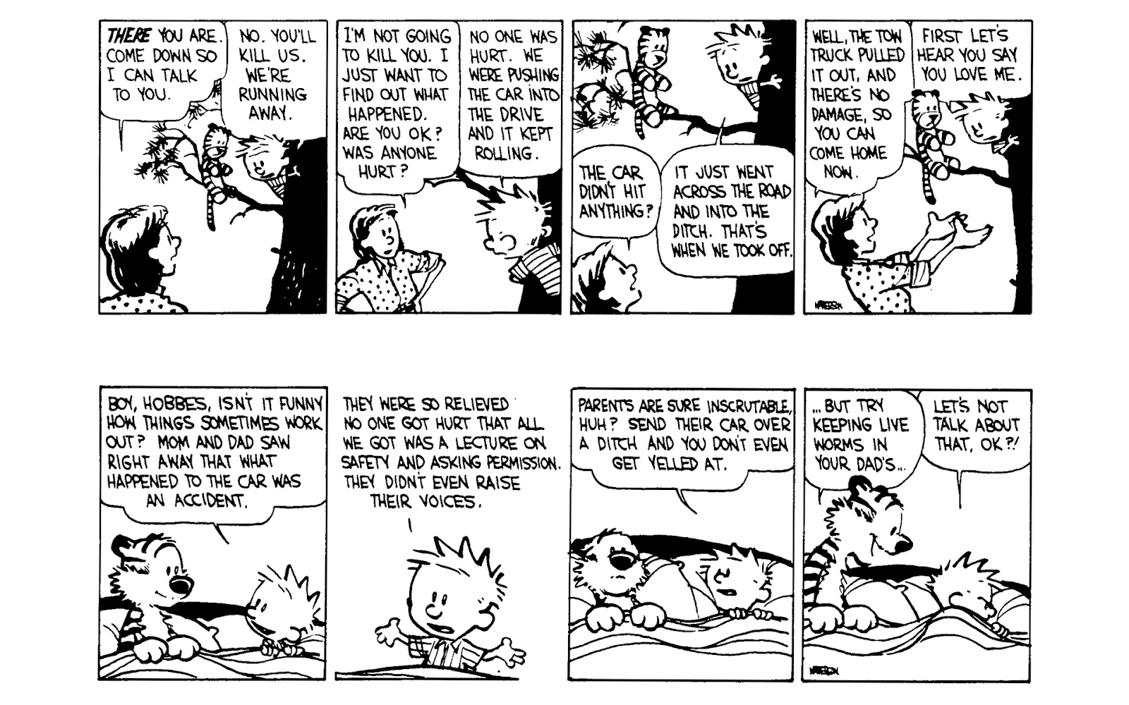 Calvin and Hobbes issue 5 - Page 109