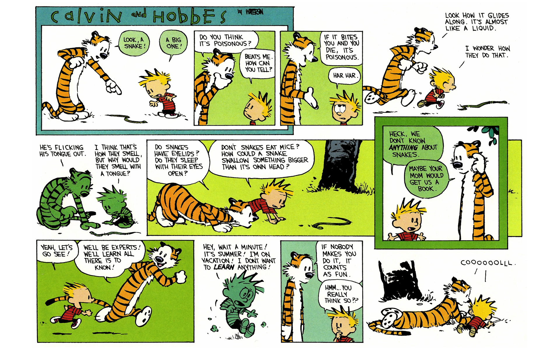 Read online Calvin and Hobbes comic -  Issue #11 - 67