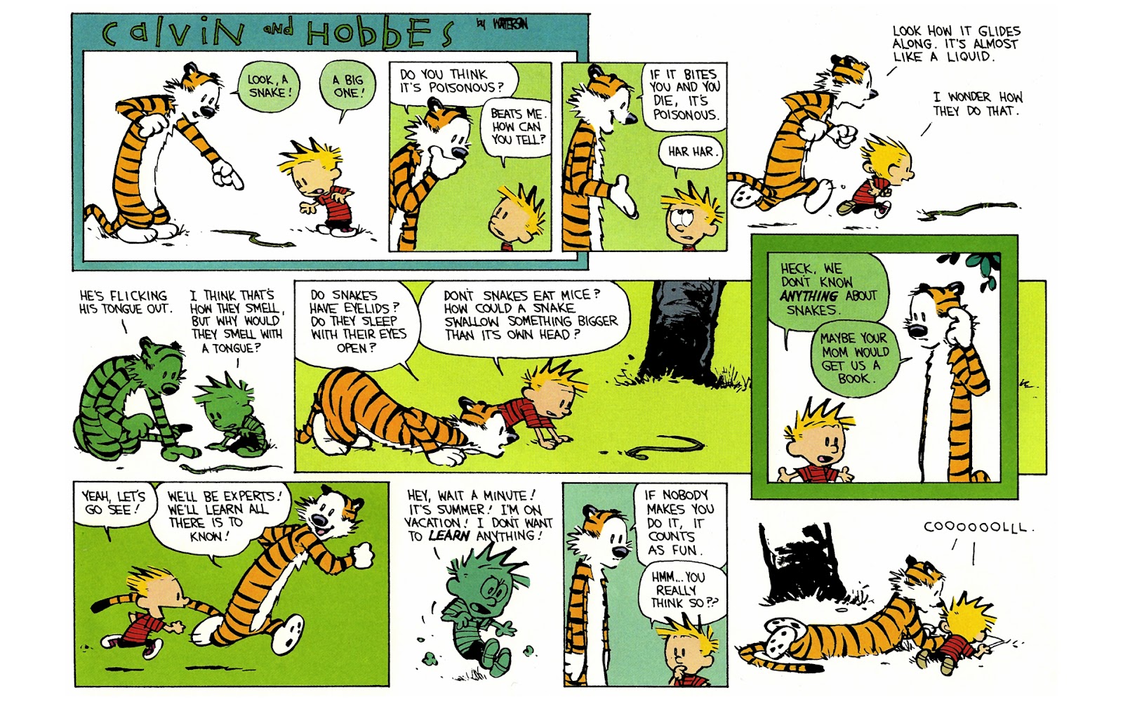 Calvin and Hobbes issue 11 - Page 67