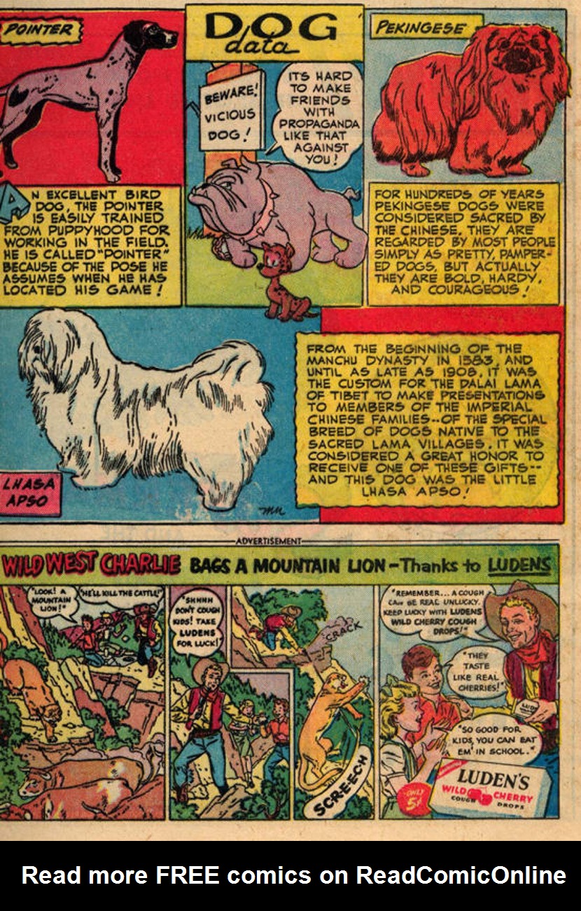 Read online The Adventures of Rex the Wonder Dog comic -  Issue #2 - 21