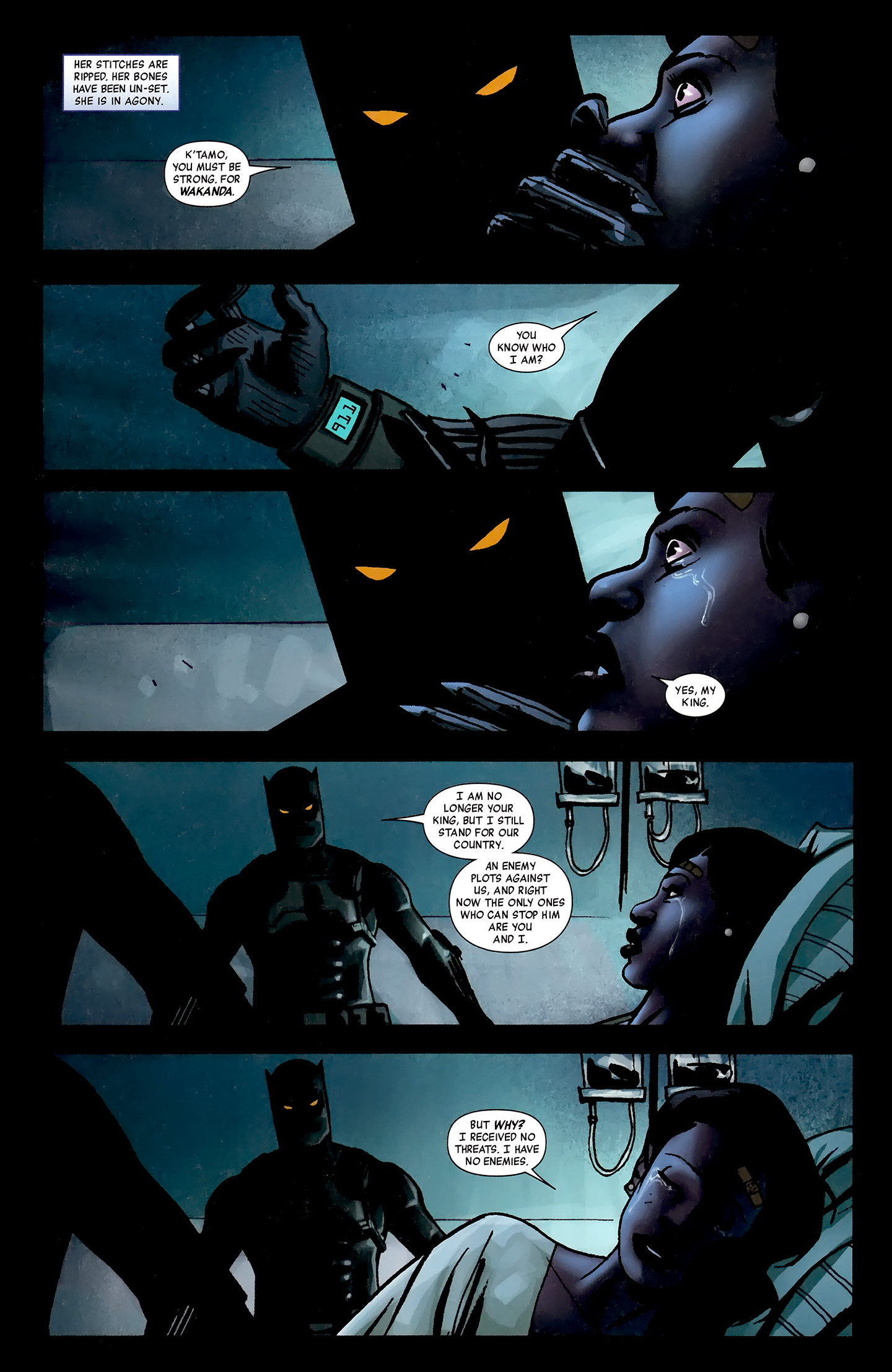 Read online Black Panther: The Most Dangerous Man Alive comic -  Issue #525 - 13