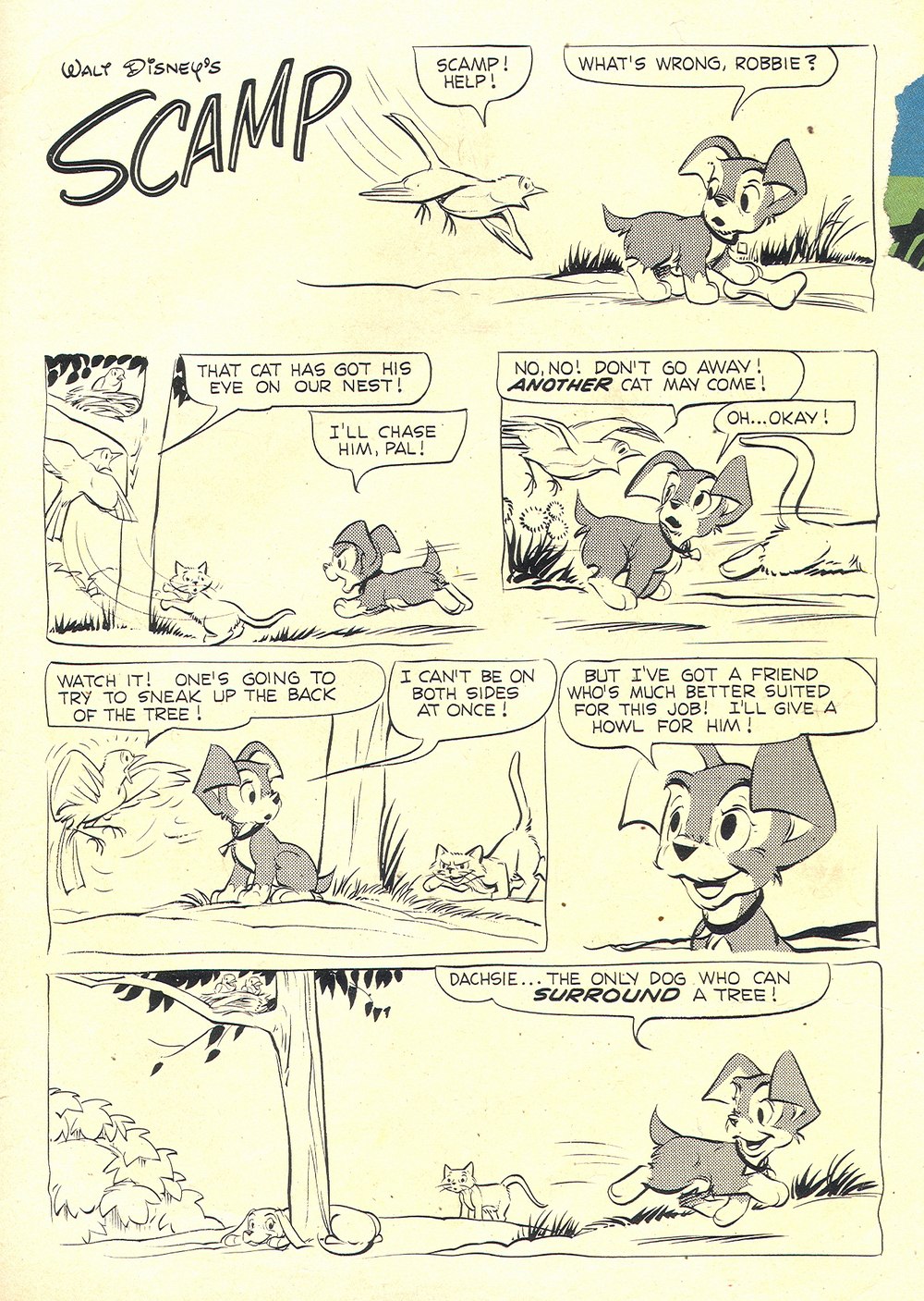 Read online Scamp (1958) comic -  Issue #9 - 35