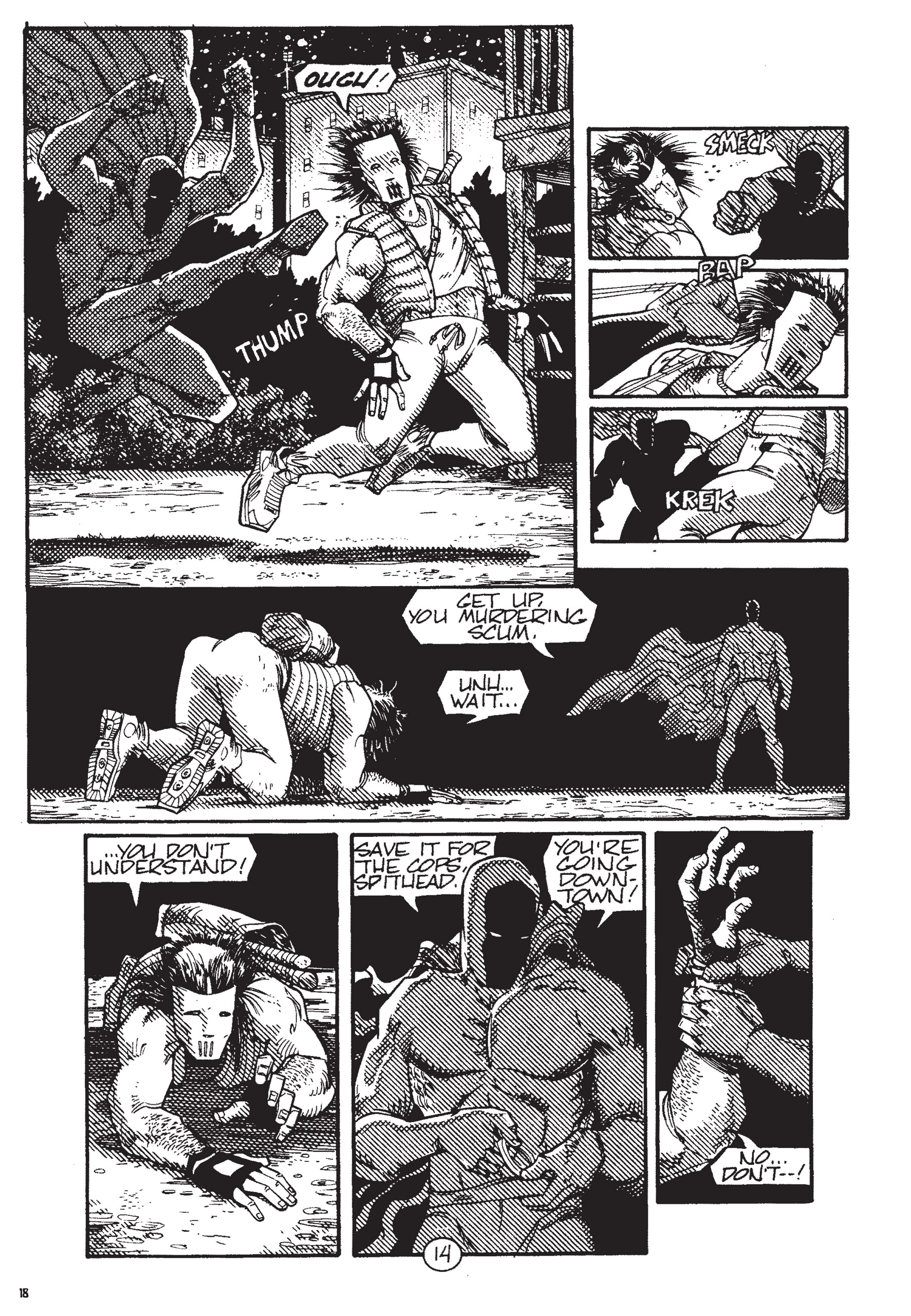Read online Teenage Mutant Ninja Turtles: The Ultimate Collection comic -  Issue # TPB 4 (Part 1) - 19
