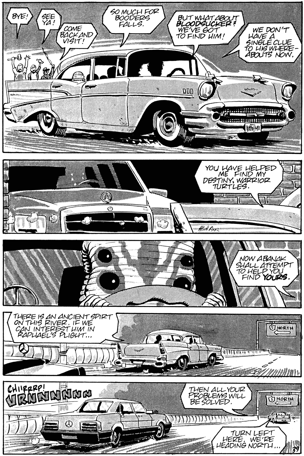 Read online Teenage Mutant Ninja Turtles (1984) comic -  Issue #25 - 41