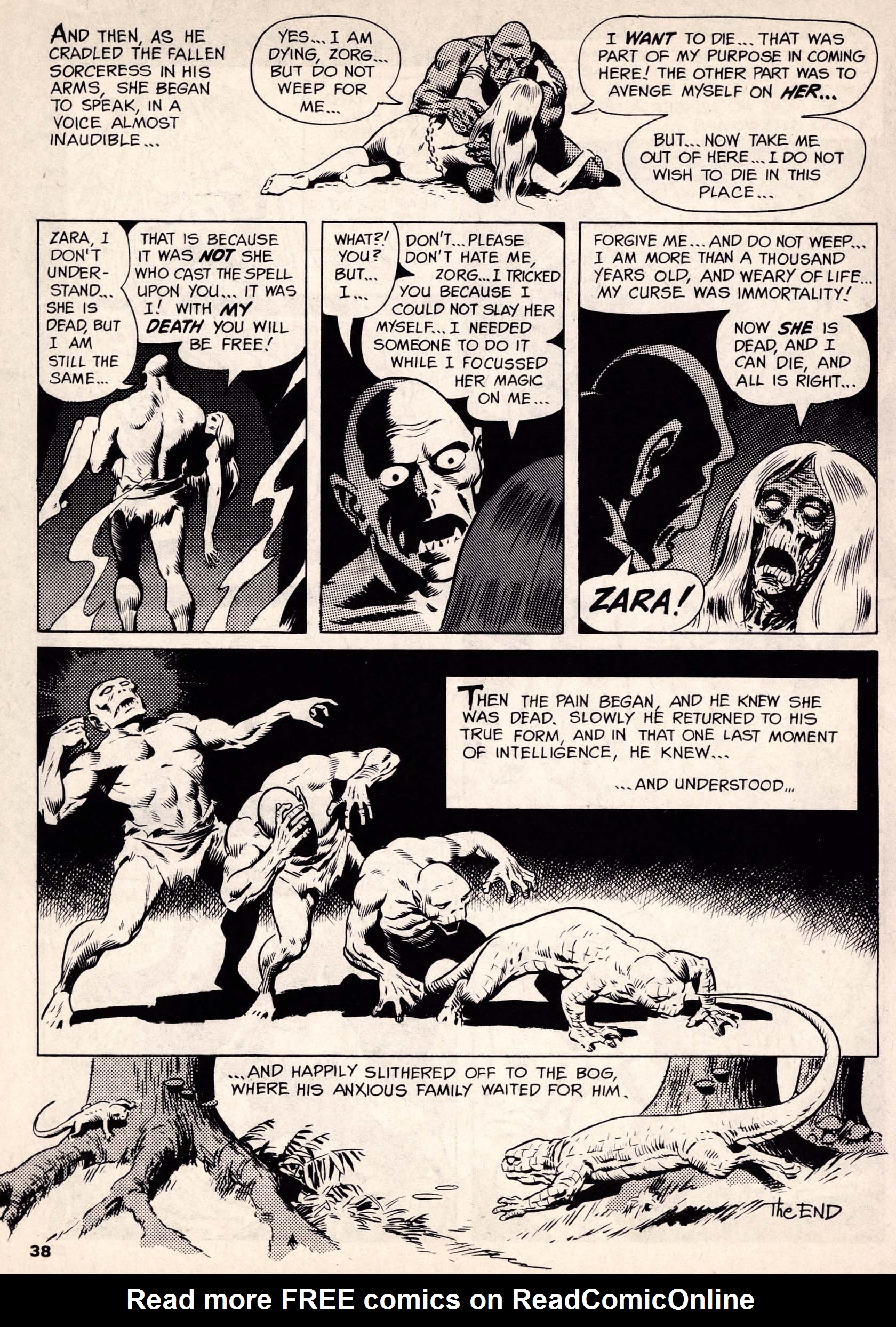Read online Vampirella (1969) comic -  Issue # Annual 1972 - 38