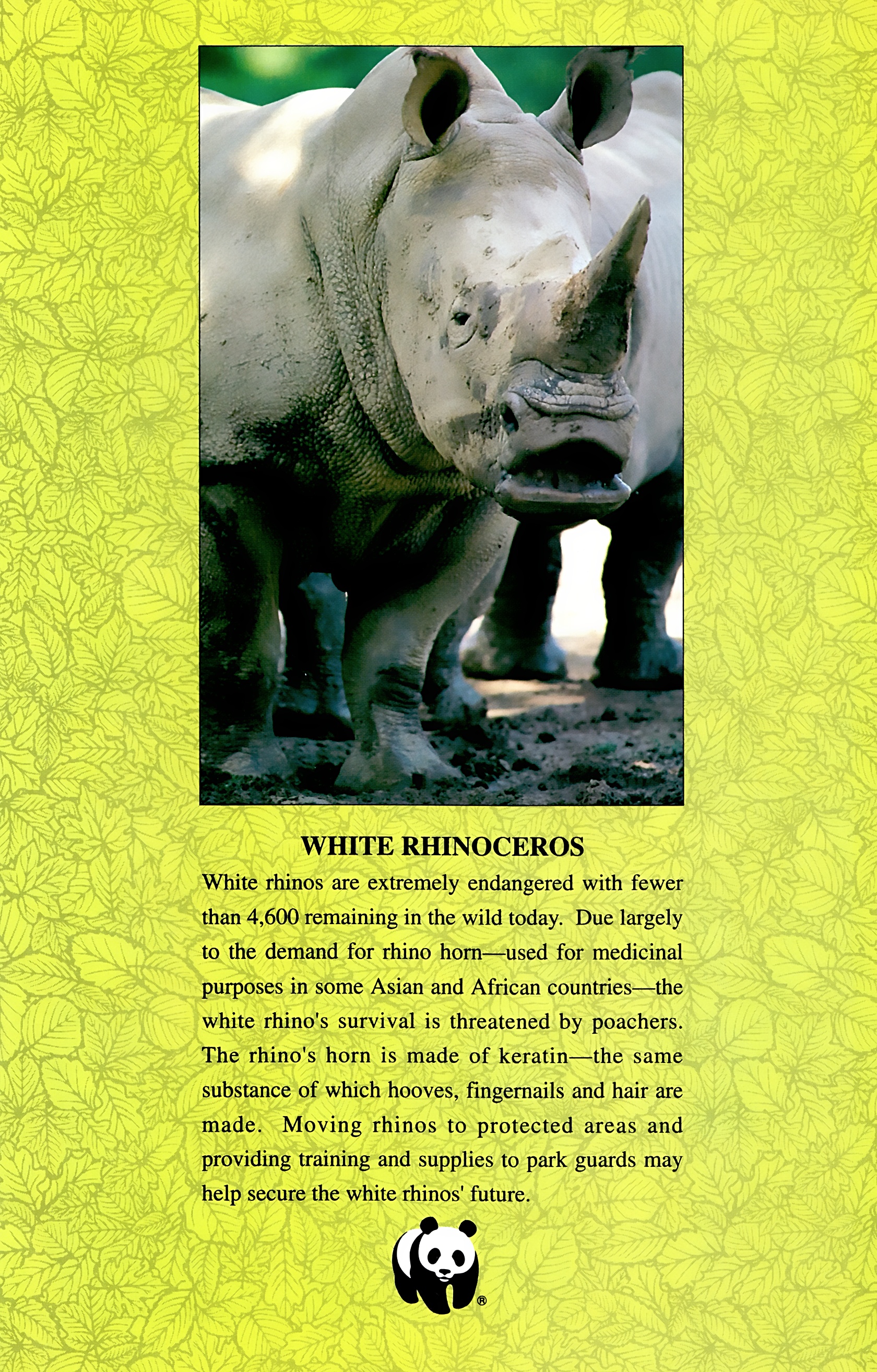 Read online Wolverine: Global Jeopardy comic -  Issue # Full - 11