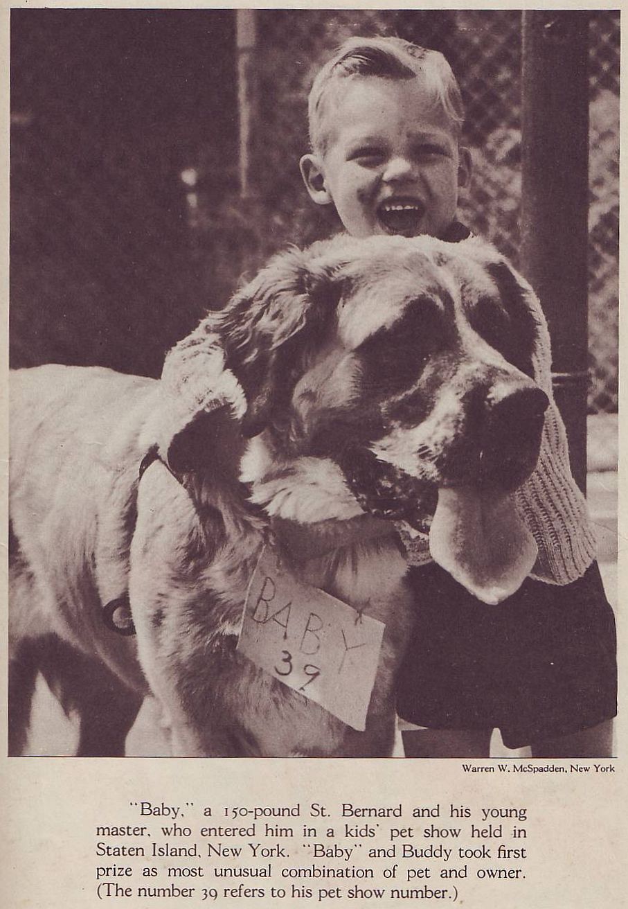 Read online Animal Comics comic -  Issue #30 - 51