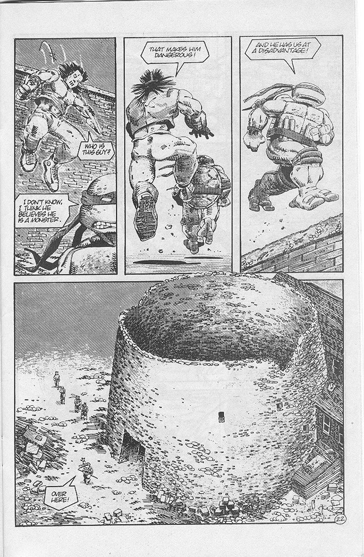 Tales of the Teenage Mutant Ninja Turtles issue 4 - Page 25