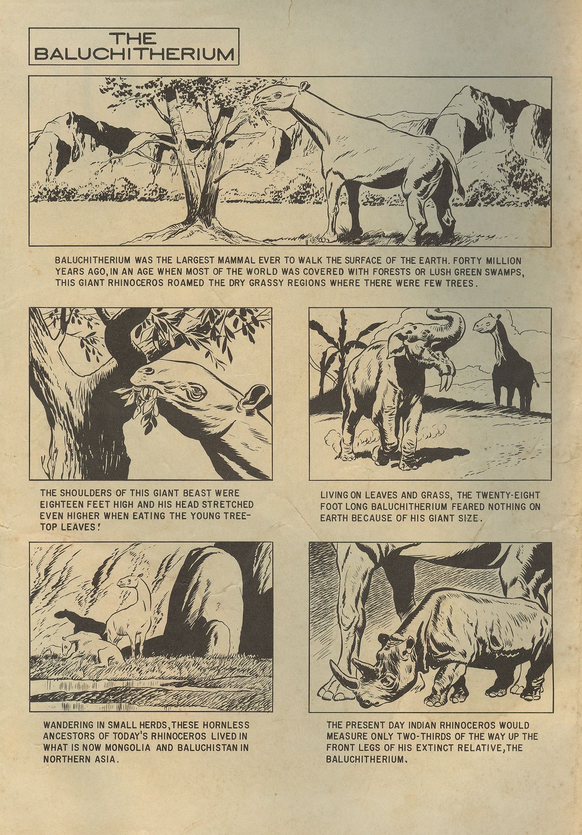 Read online Turok, Son of Stone comic -  Issue #17 - 2