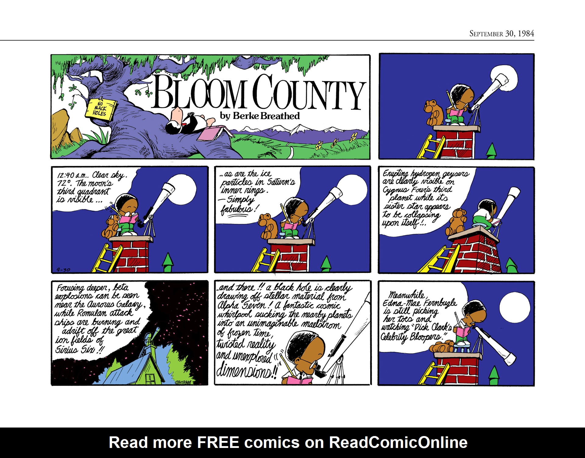 Read online The Bloom County Digital Library comic -  Issue # TPB 4 (Part 3) - 80