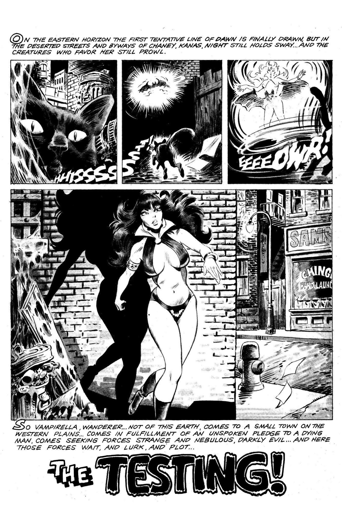 Read online Vampirella: The Essential Warren Years comic -  Issue # TPB (Part 1) - 42