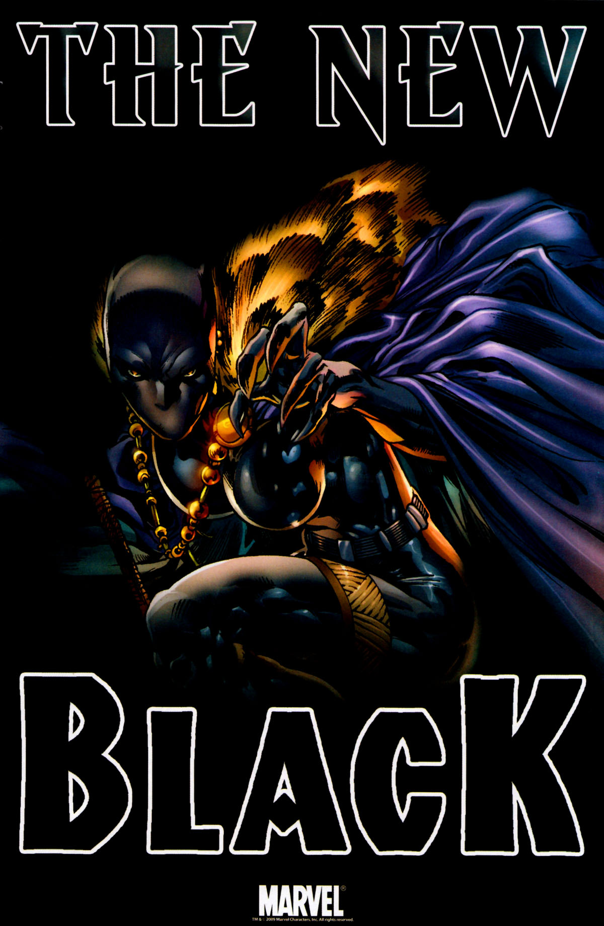 Read online Black Panther (2009) comic -  Issue #4 - 28