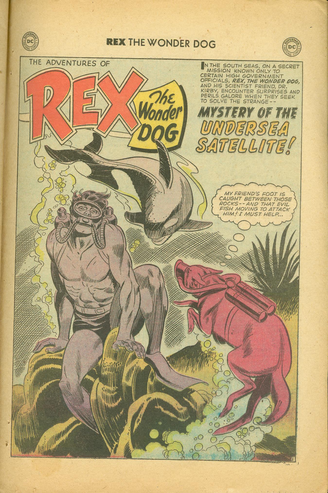 Read online The Adventures of Rex the Wonder Dog comic -  Issue #37 - 25