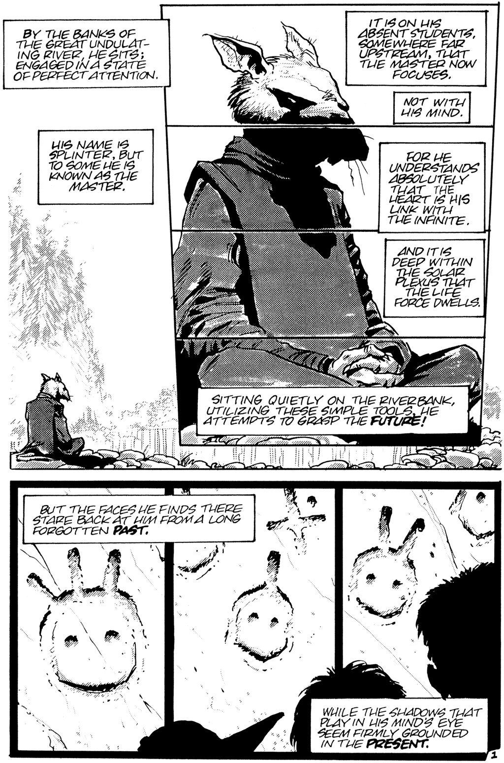 Read online Teenage Mutant Ninja Turtles (1984) comic -  Issue #25 - 3