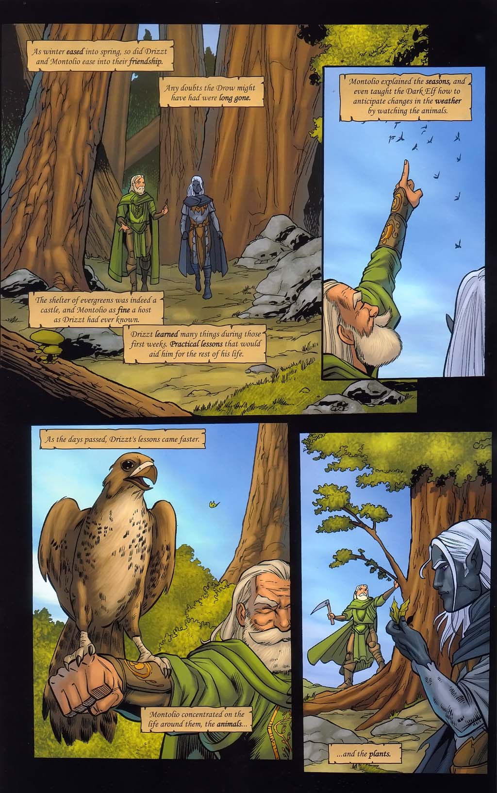 Read online Forgotten Realms: Sojourn comic -  Issue #2 - 32