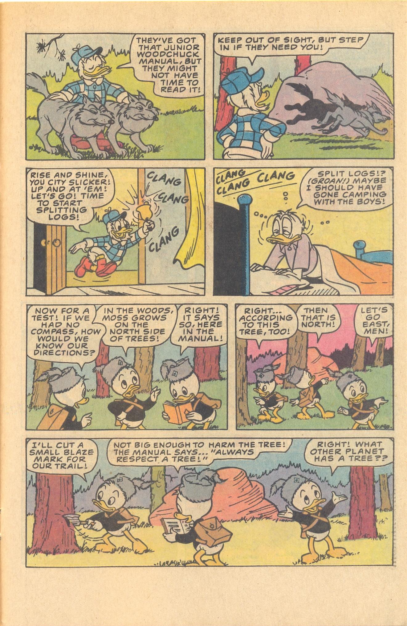 Read online Huey, Dewey, and Louie Junior Woodchucks comic -  Issue #81 - 29