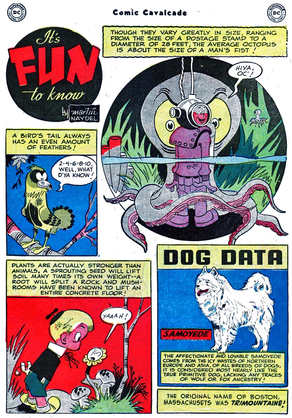 Read online Comic Cavalcade comic -  Issue #51 - 61