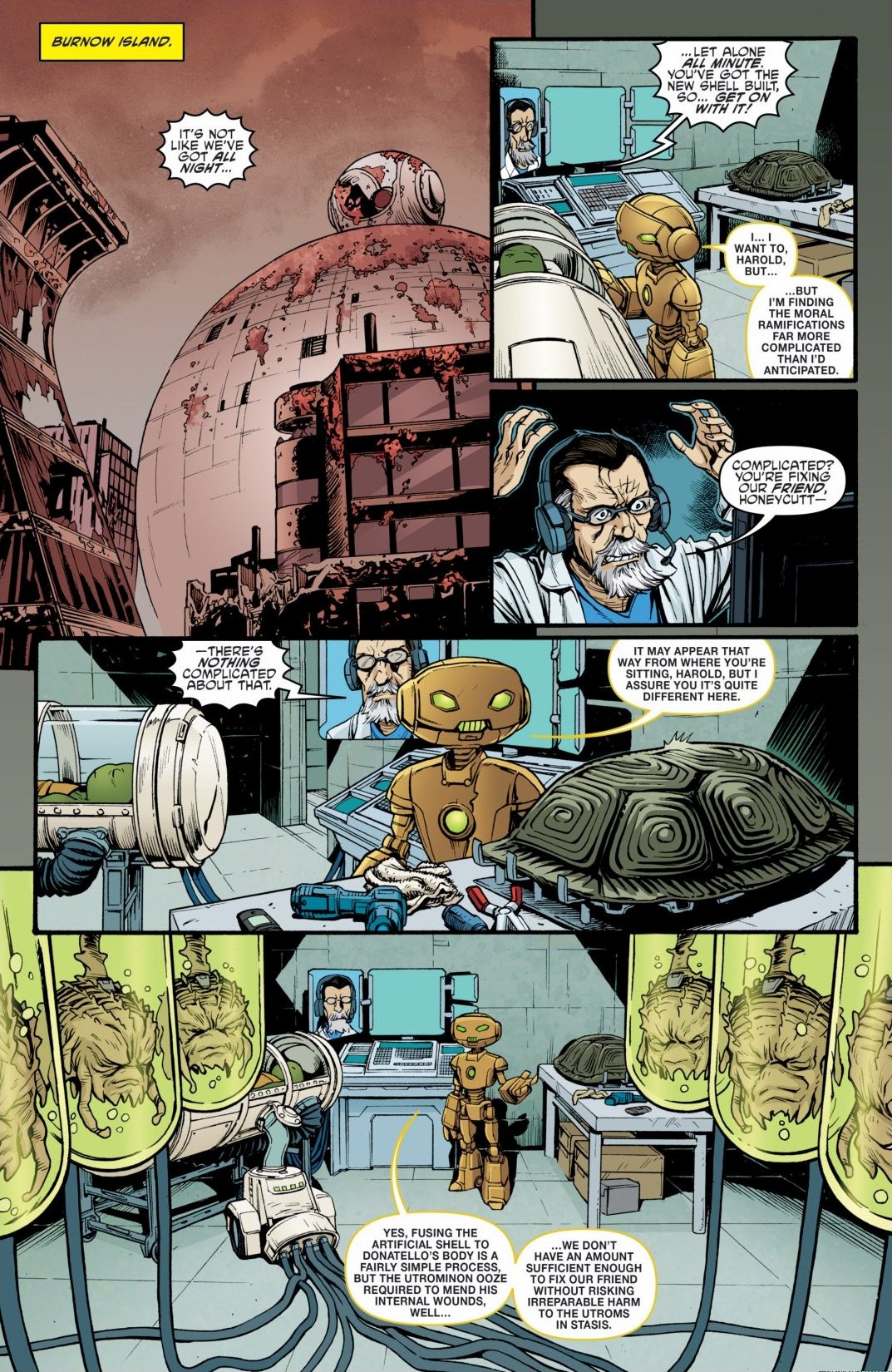 Read online Teenage Mutant Ninja Turtles: The IDW Collection comic -  Issue # TPB 6 (Part 3) - 21