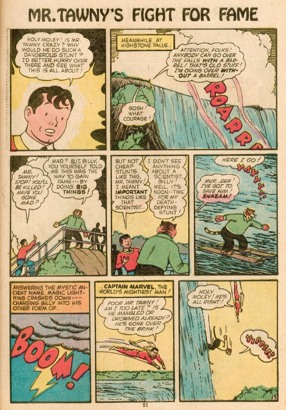 Read online Shazam! (1973) comic -  Issue #14 - 46