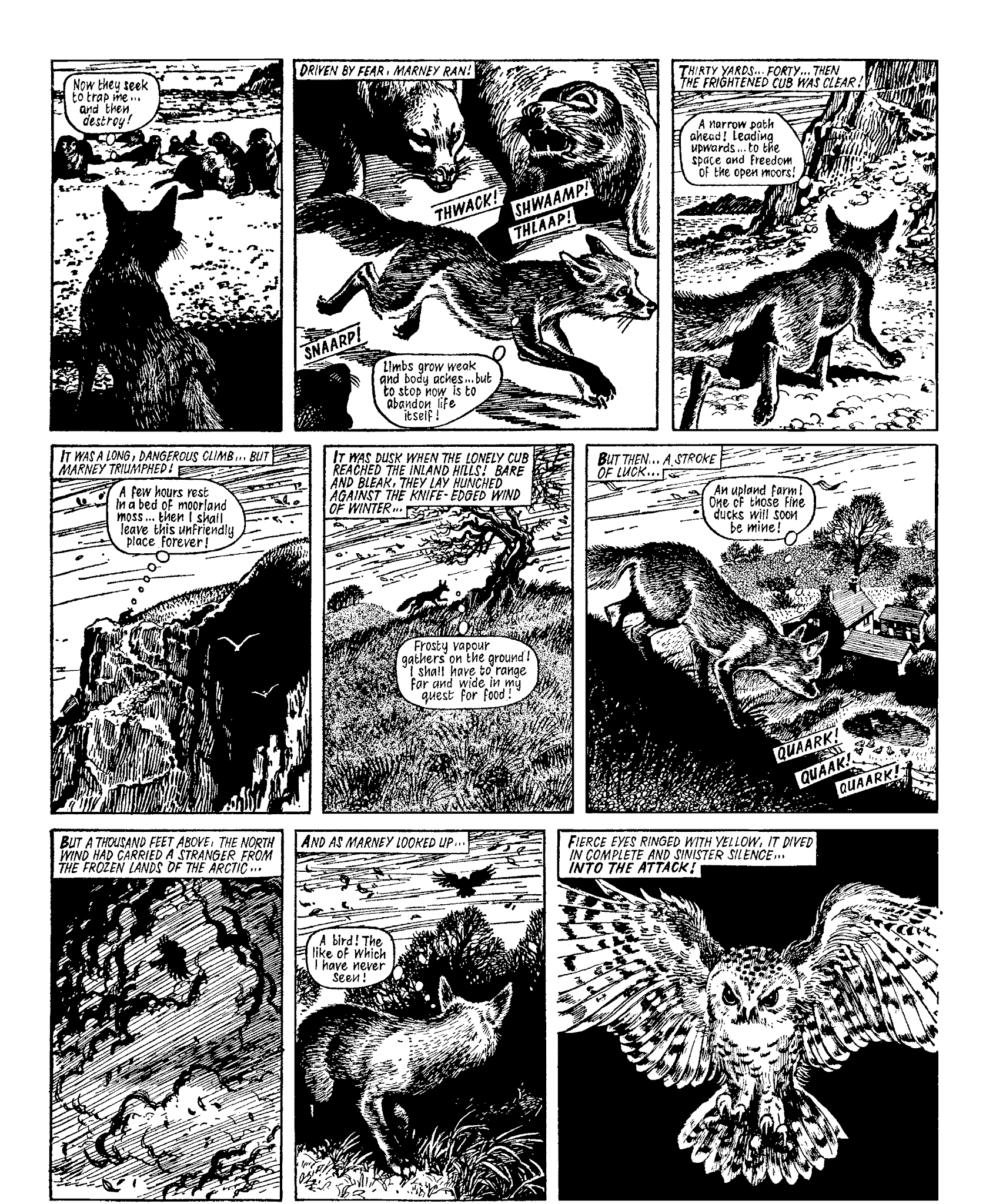 Read online Marney the Fox comic -  Issue # TPB (Part 1) - 48