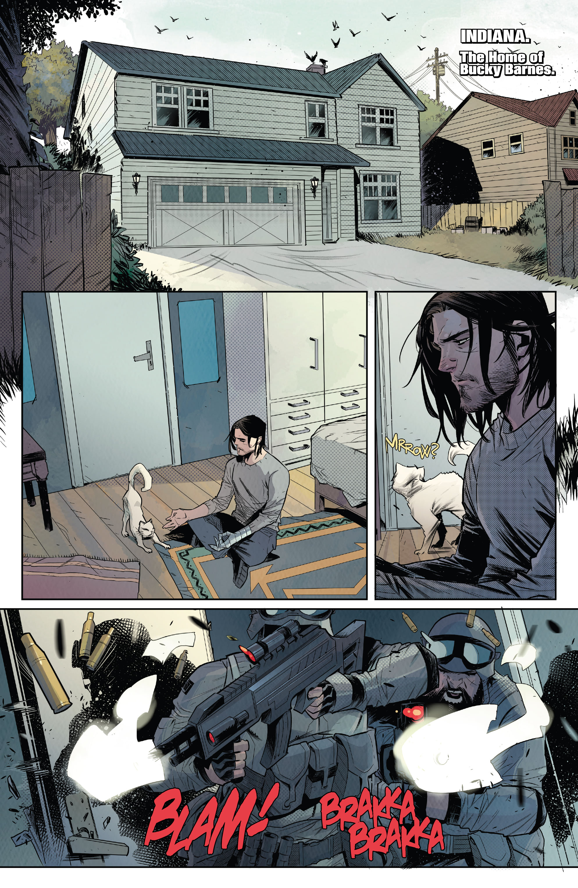 Read online Falcon & Winter Soldier comic -  Issue #1 - 2