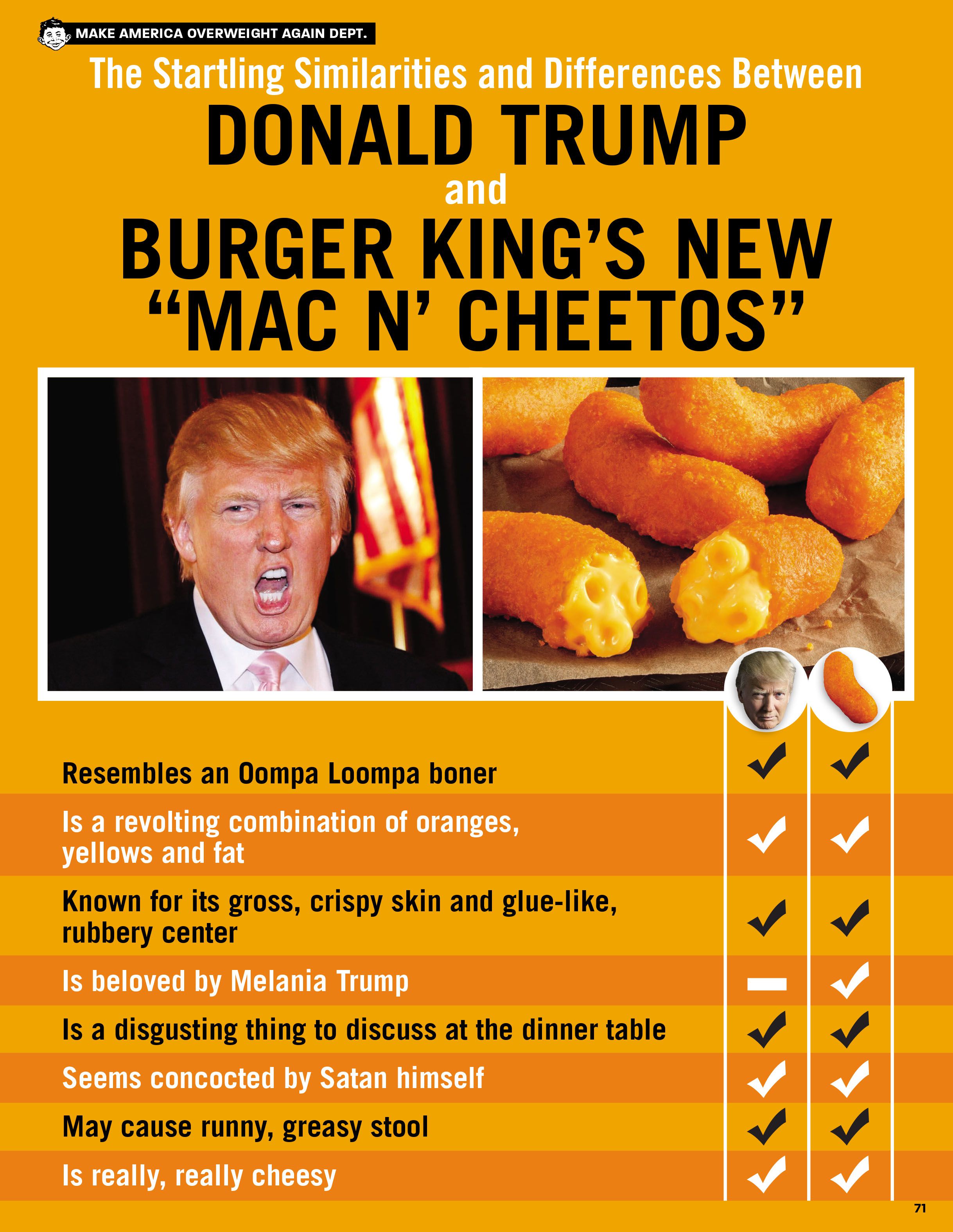 Read online MAD About Trump: A Brilliant Look at Our Brainless President comic -  Issue # TPB - 73