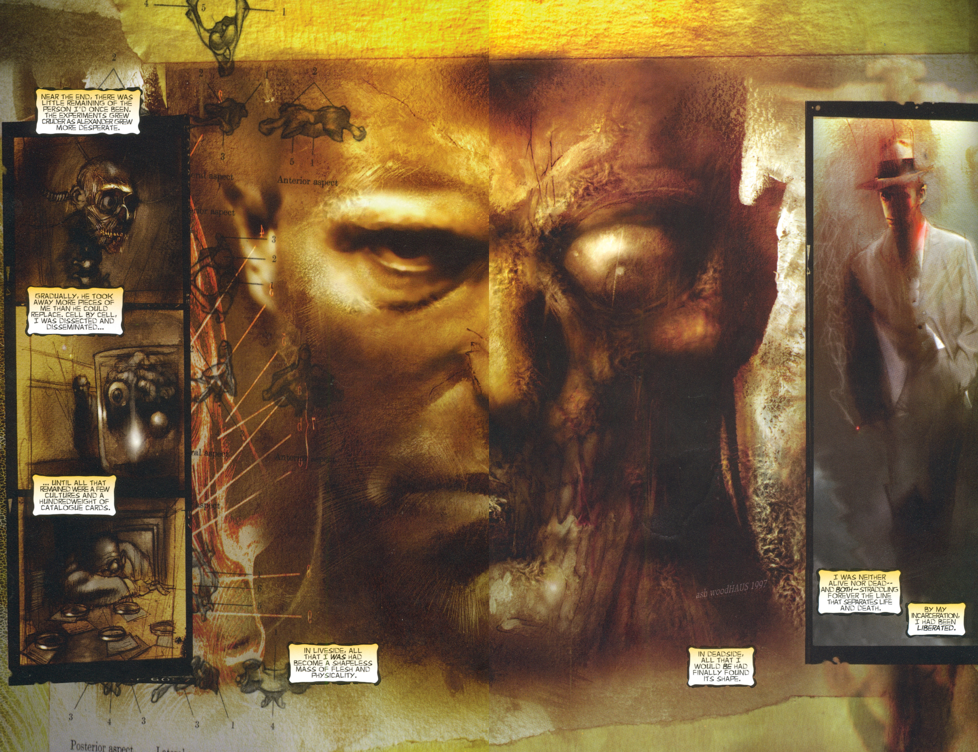 Read online Shadowman by Garth Ennis & Ashley Wood comic -  Issue # TPB - 113