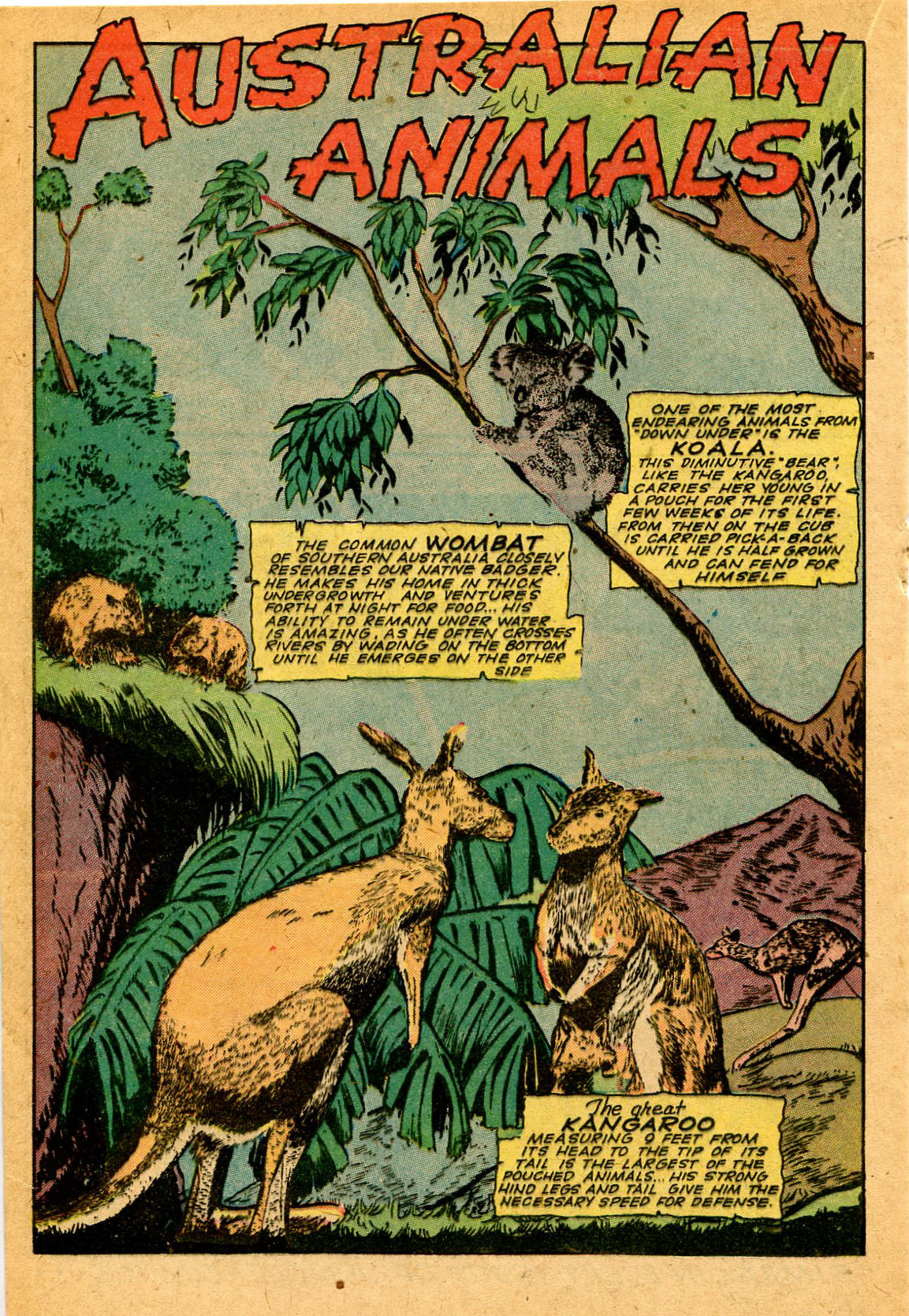 Read online Jungle Comics comic -  Issue #63 - 29