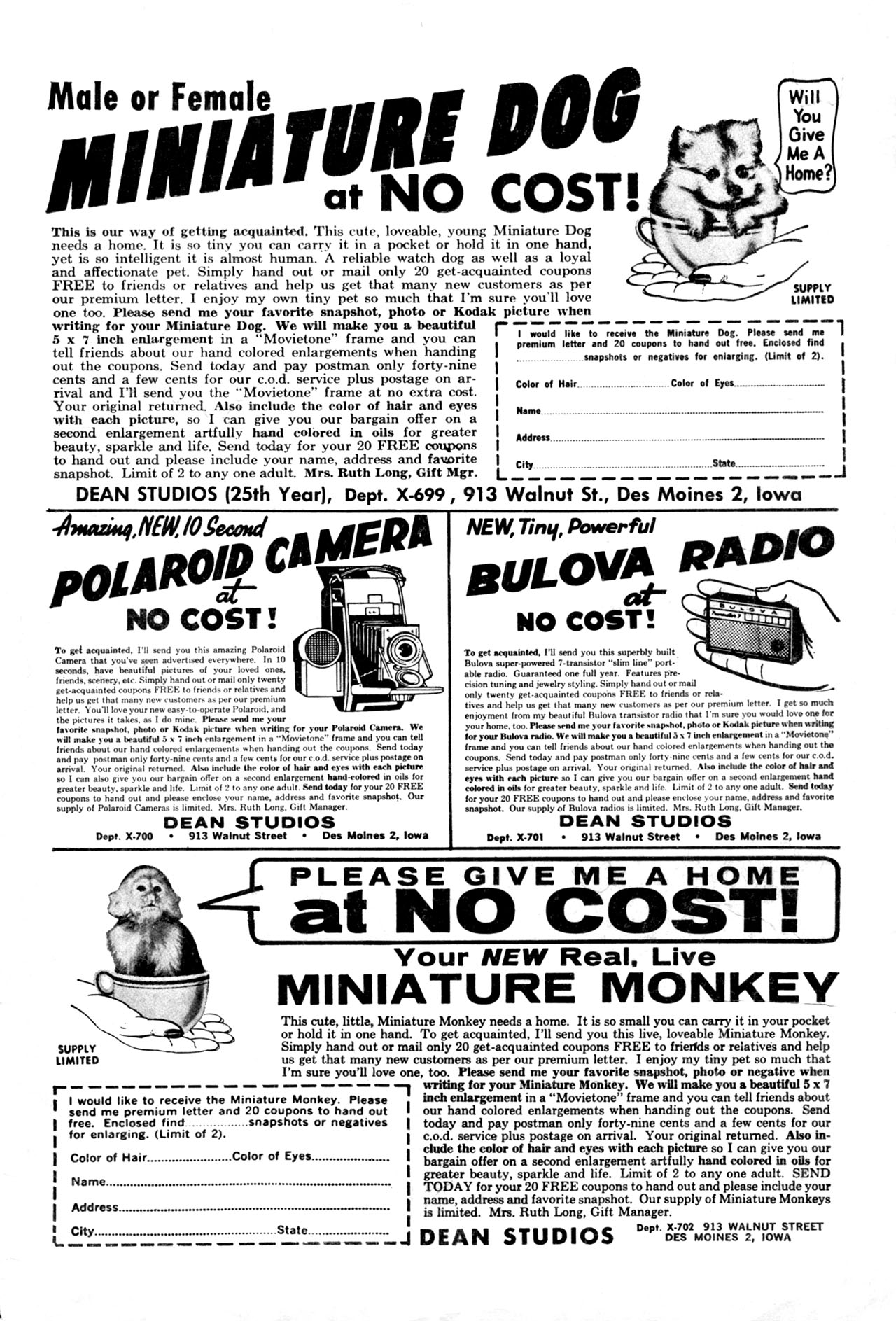 Read online Little Dot Dotland comic -  Issue #10 - 35