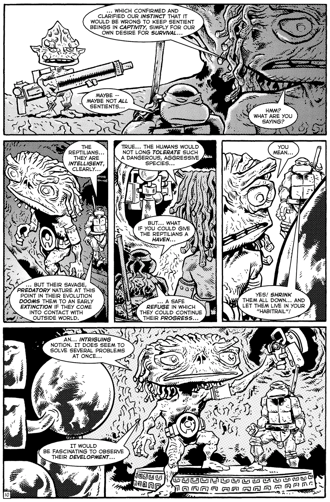 TMNT: Teenage Mutant Ninja Turtles issue 21 - Page 11