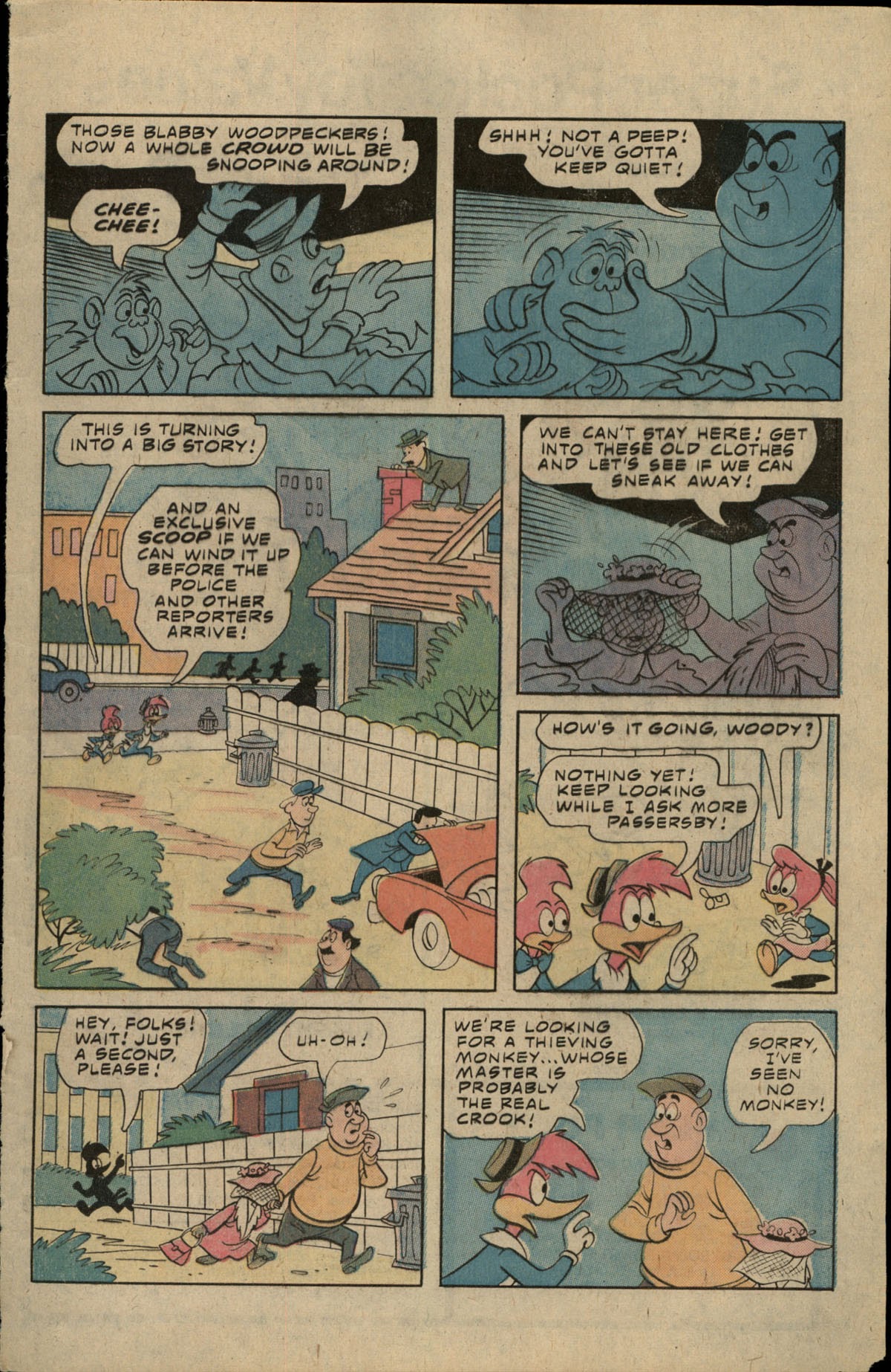 Read online Walter Lantz Woody Woodpecker (1962) comic -  Issue #167 - 29