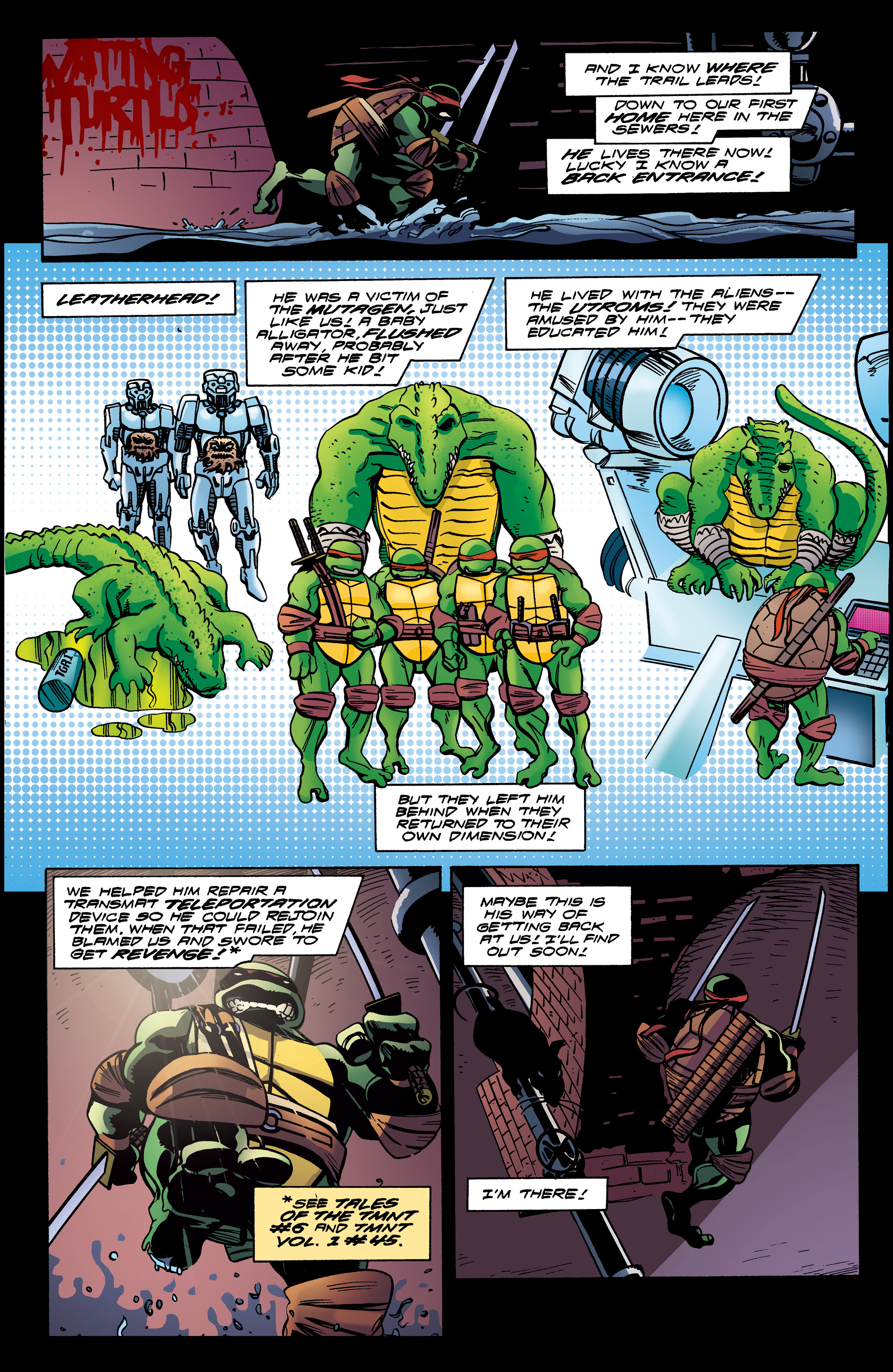 Read online Teenage Mutant Ninja Turtles: Urban Legends comic -  Issue #17 - 20