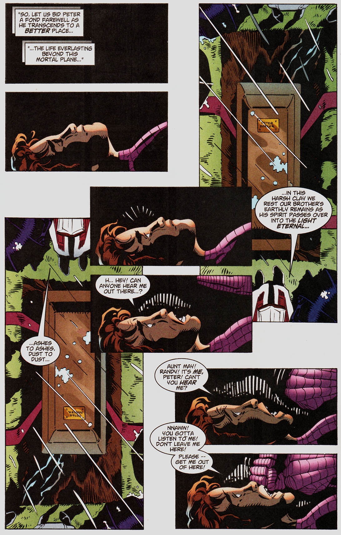 Peter Parker: Spider-Man Issue #25 #28 - English 3