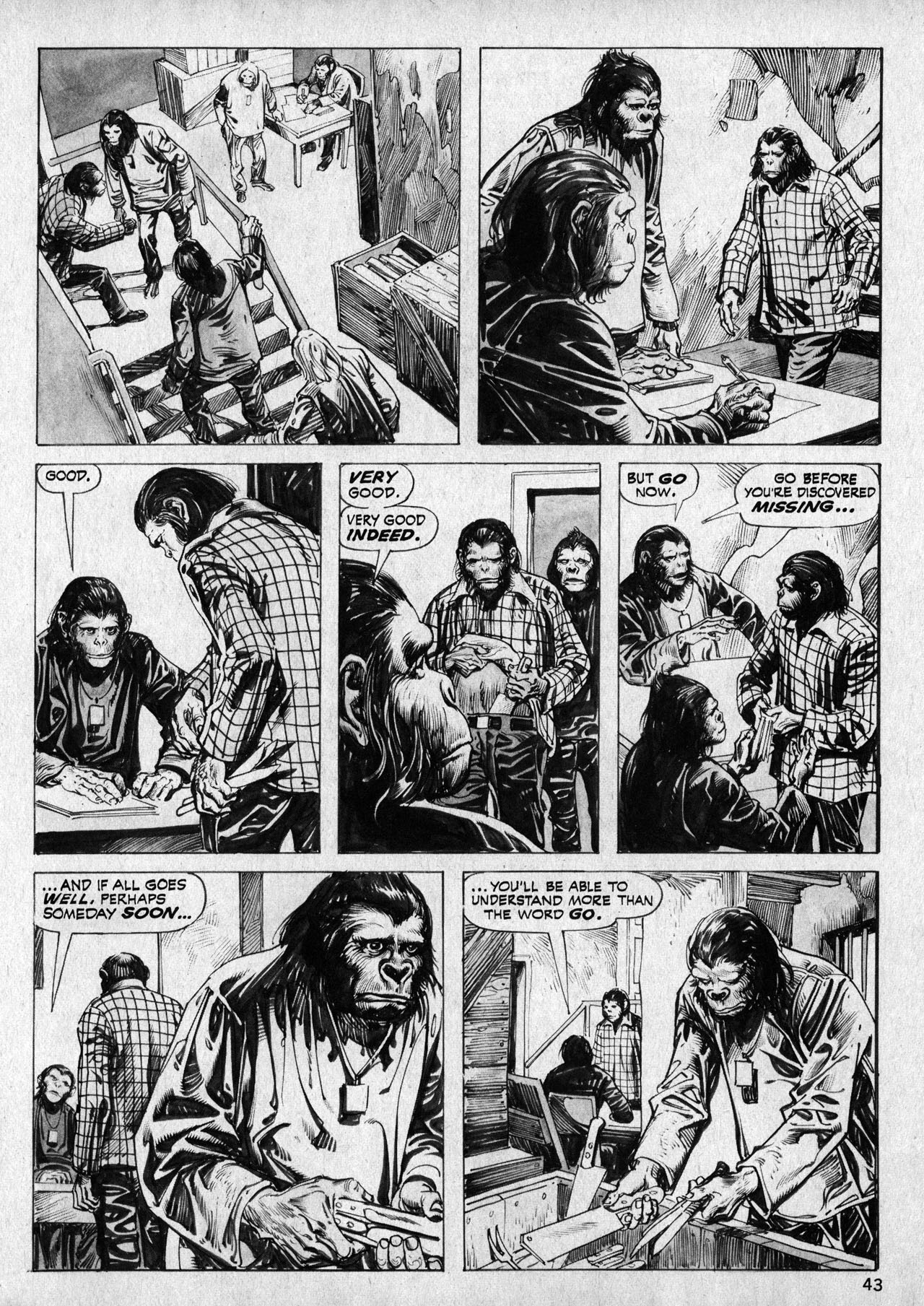 Read online Planet of the Apes comic -  Issue #19 - 42