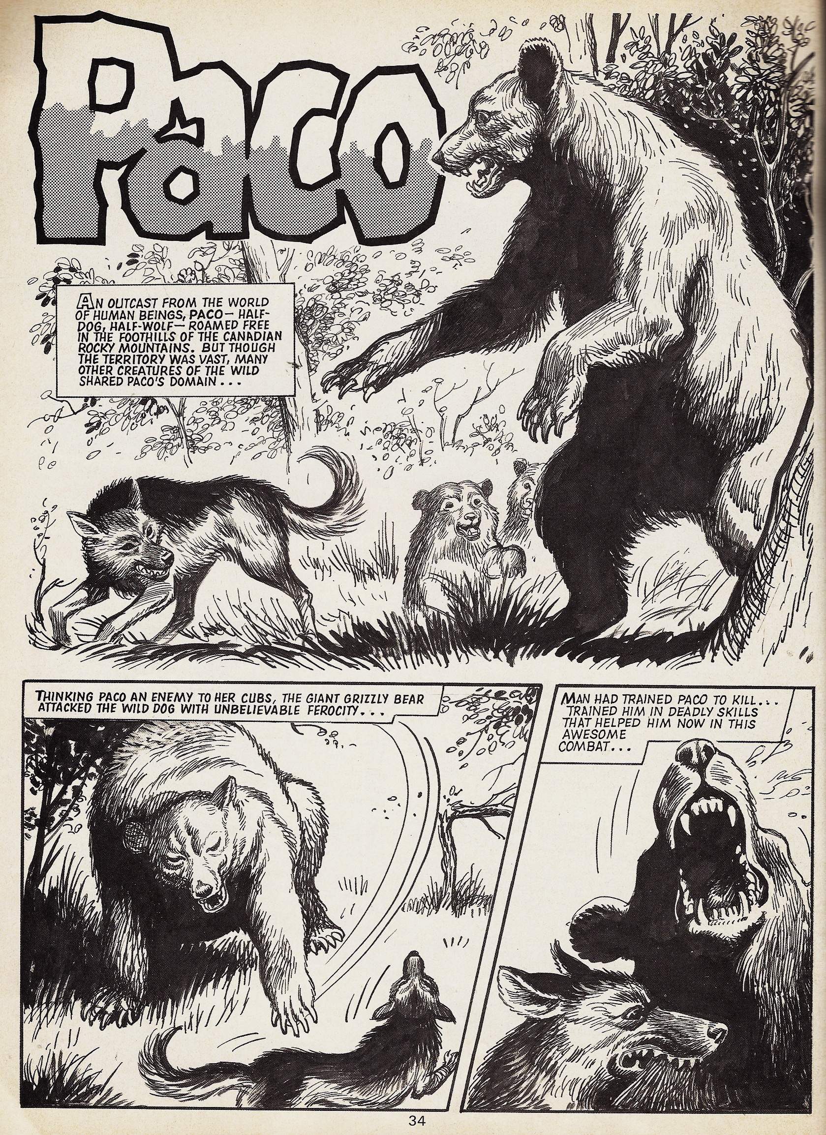 Read online Eagle Holiday Special comic -  Issue #8 - 34