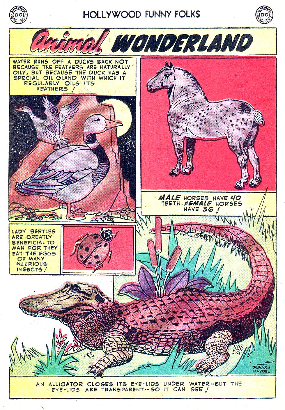 Read online Hollywood Funny Folks comic -  Issue #48 - 26