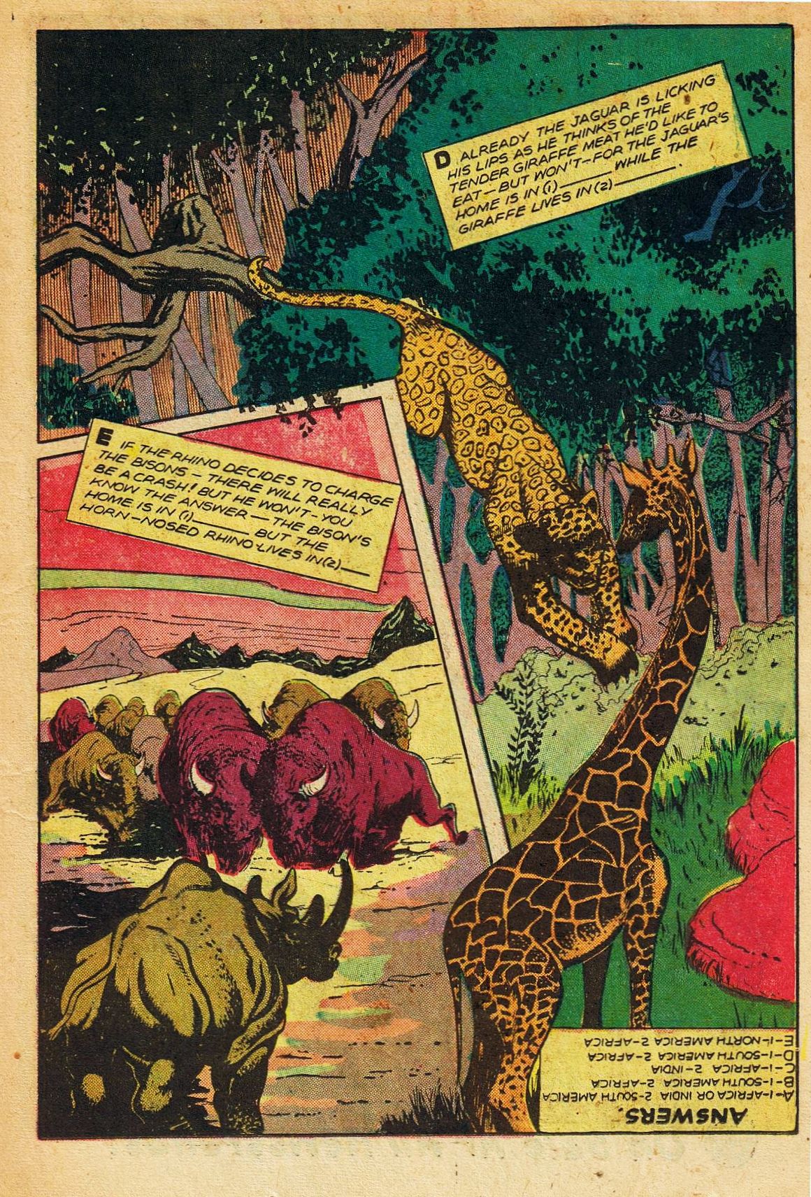 Read online Sheena, Queen of the Jungle (1942) comic -  Issue #11 - 15