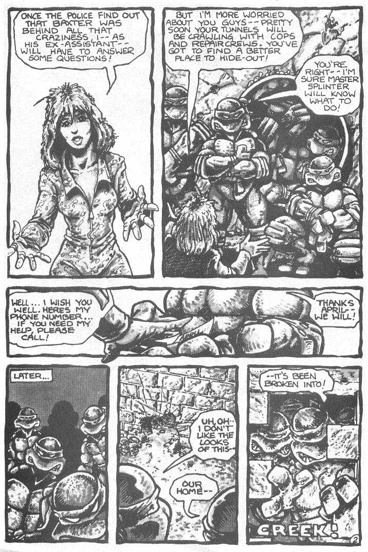 Read online Teenage Mutant Ninja Turtles (1984) comic -  Issue #3 - 5