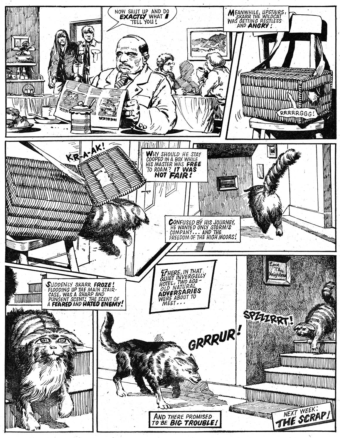 Read online Tornado comic -  Issue #10 - 10