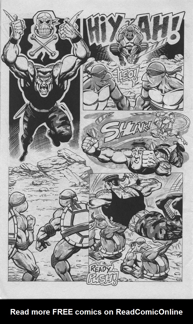 Teenage Mutant Ninja Turtles (1984) Issue #34 #34 - English 27