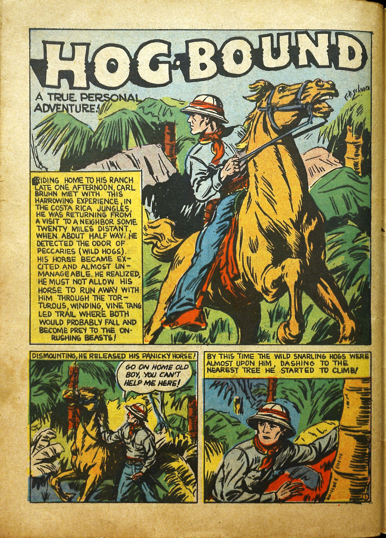 Read online Cat-Man Comics comic -  Issue #19 - 55