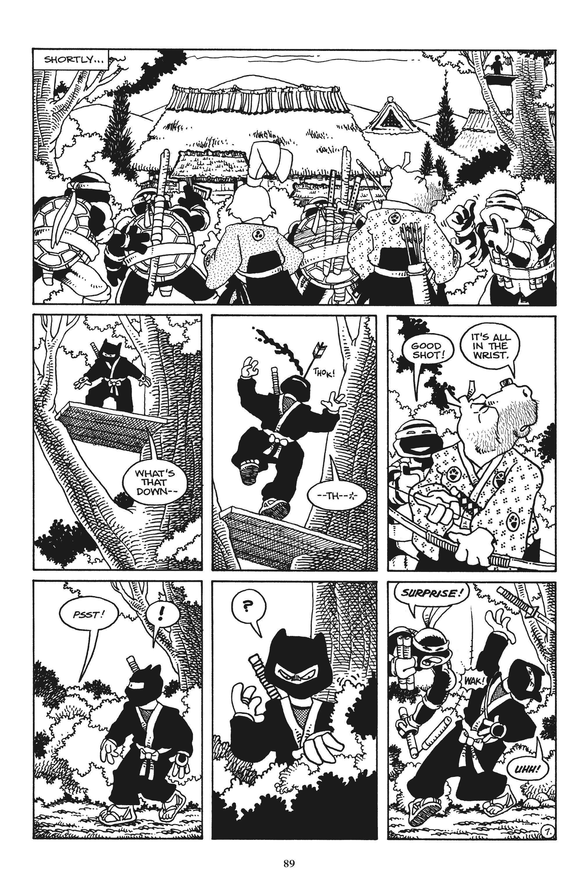 Read online Usagi Yojimbo/Teenage Mutant Ninja Turtles: The Complete Collection comic -  Issue # TPB (Part 1) - 82