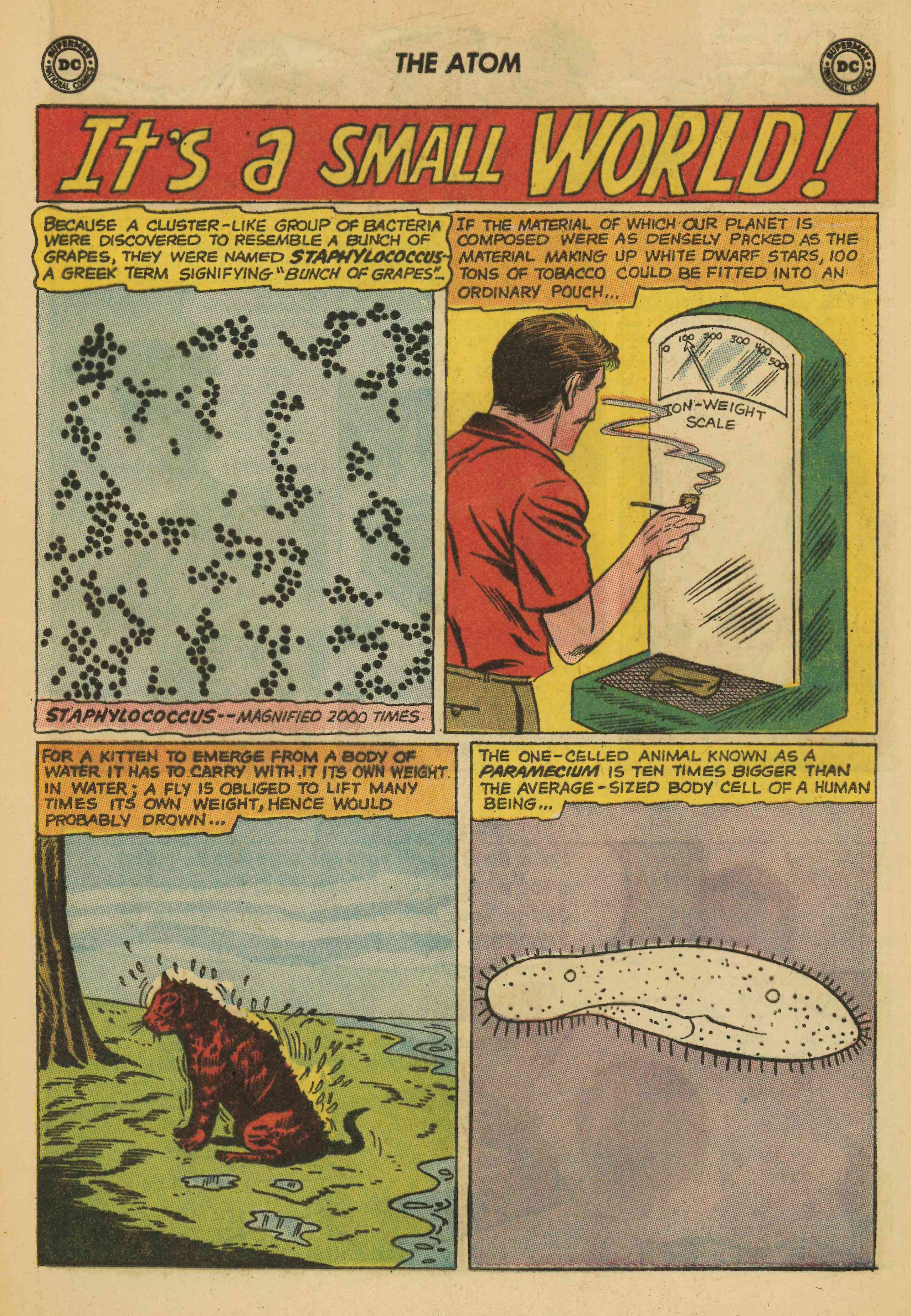 Read online The Atom comic -  Issue #4 - 20