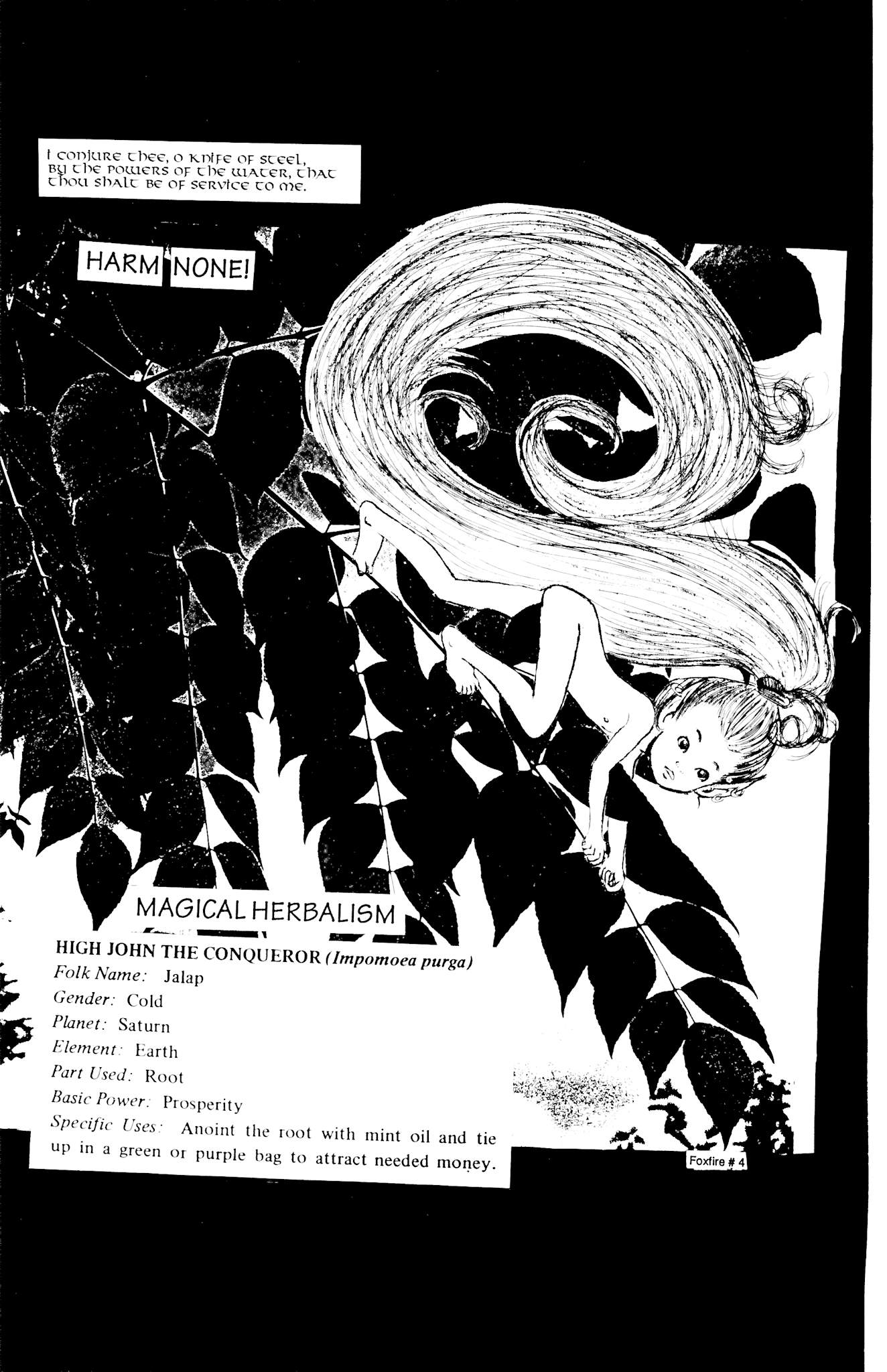 Read online Elflore (1992) comic -  Issue #4 - 23