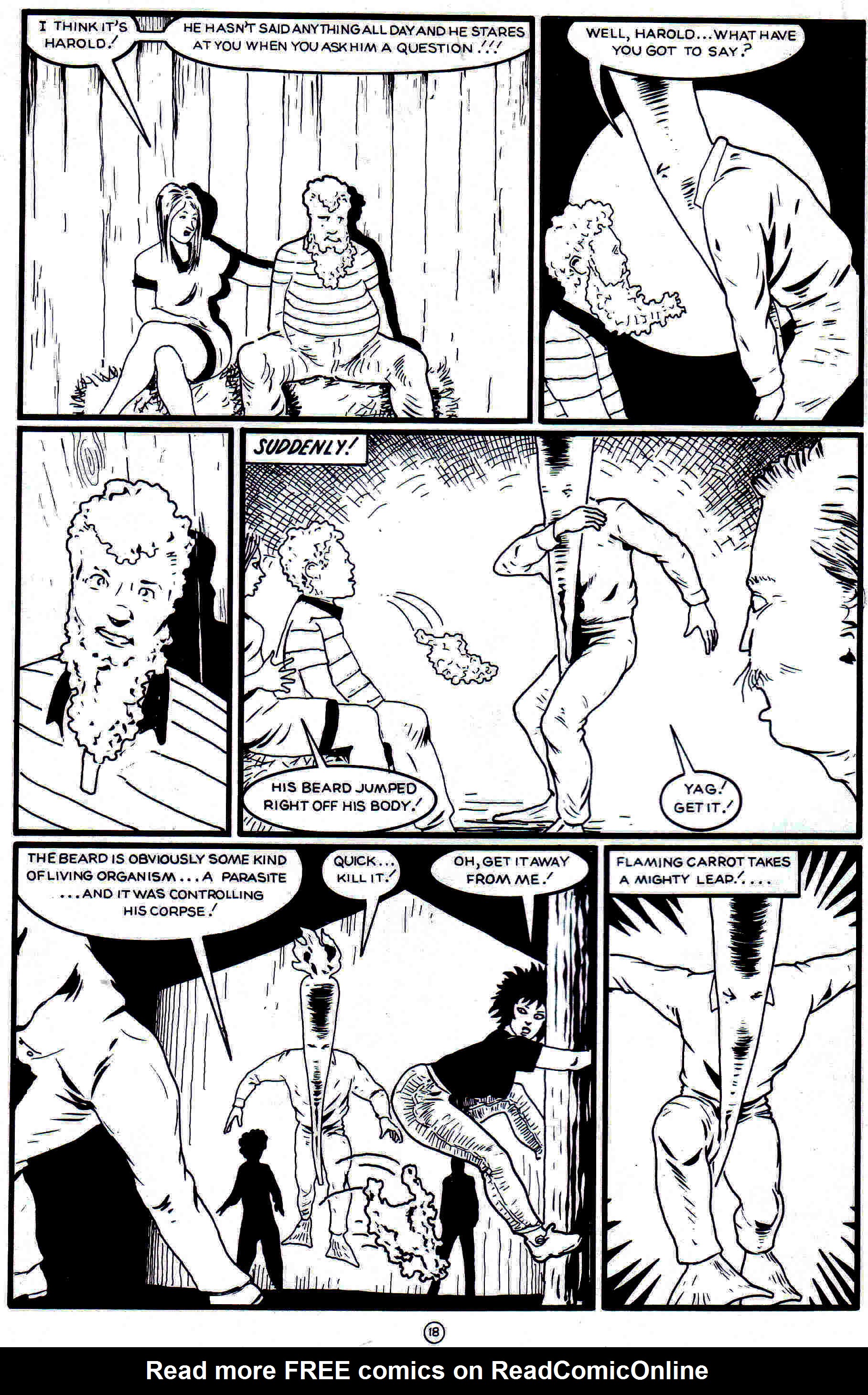 Read online Flaming Carrot Comics (1988) comic -  Issue #22 - 20