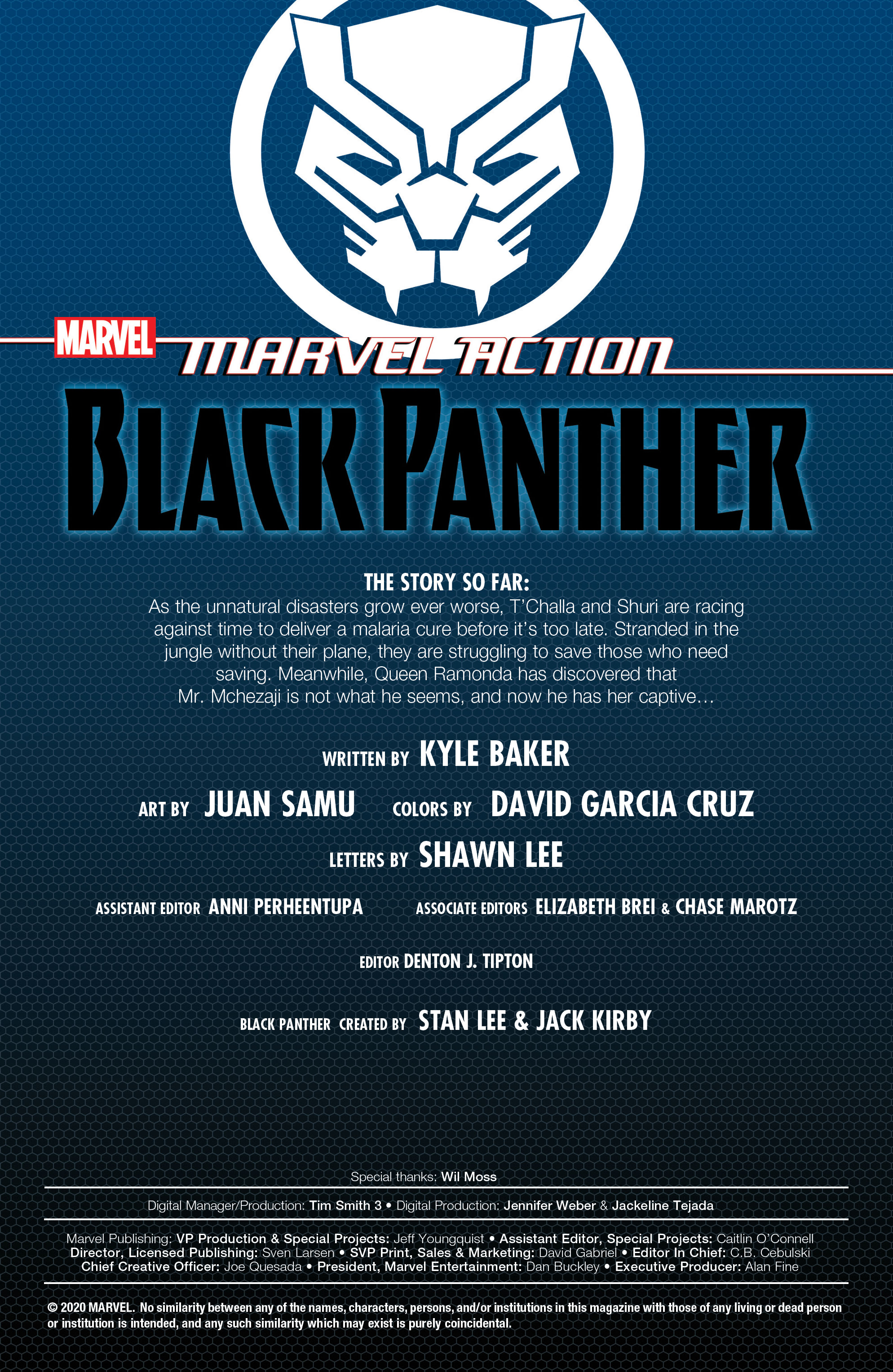 Read online Black Panther (2019) comic -  Issue #3 - 2