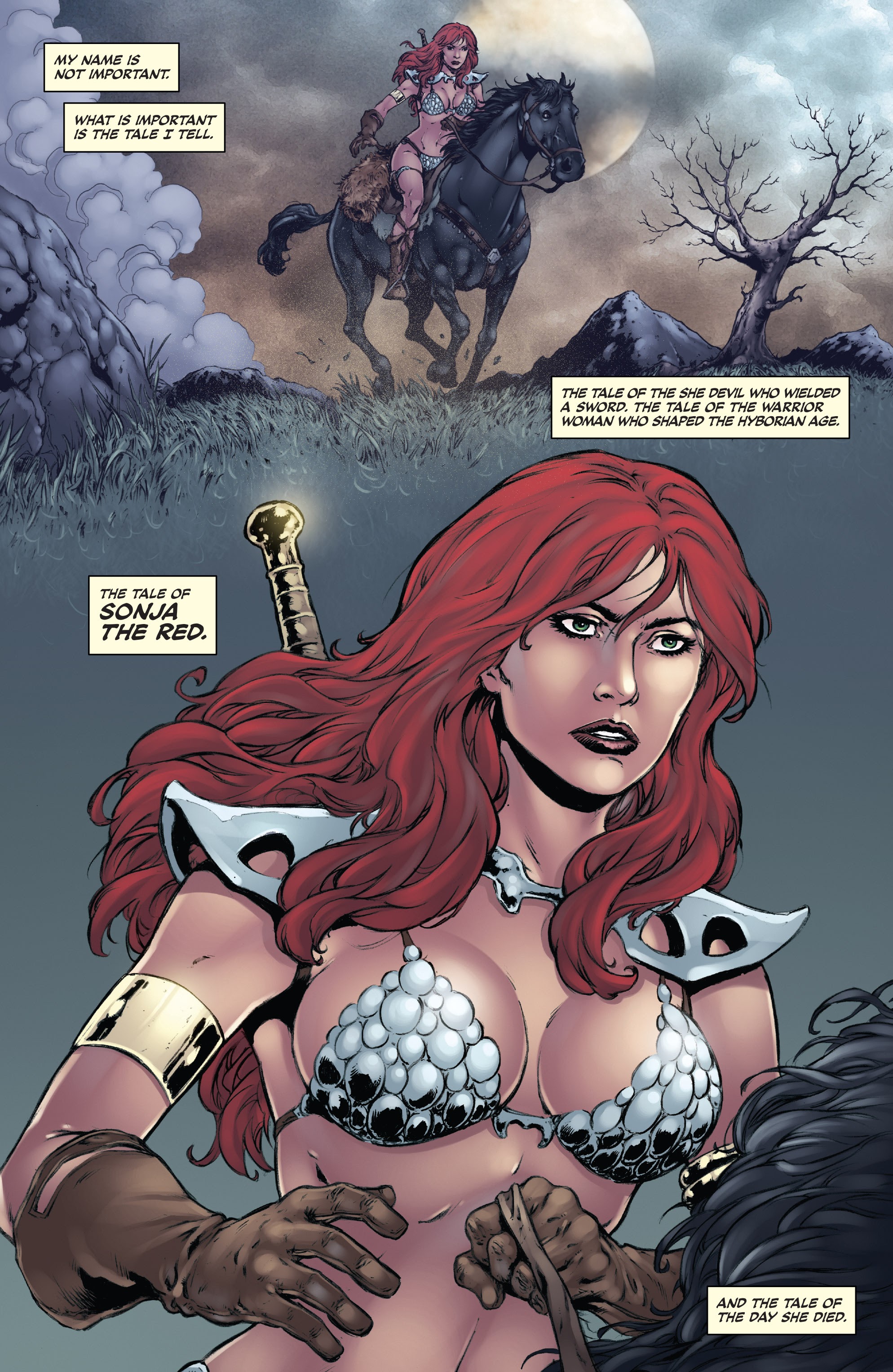 Read online Red Sonja: The Black Tower comic -  Issue #1 - 4